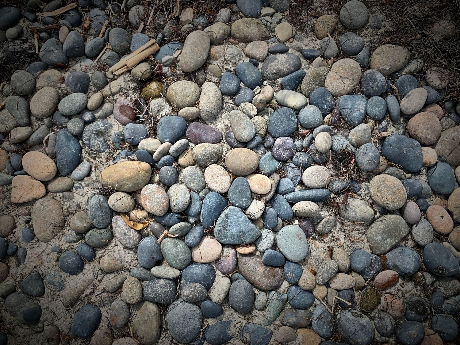Beach Pebbles