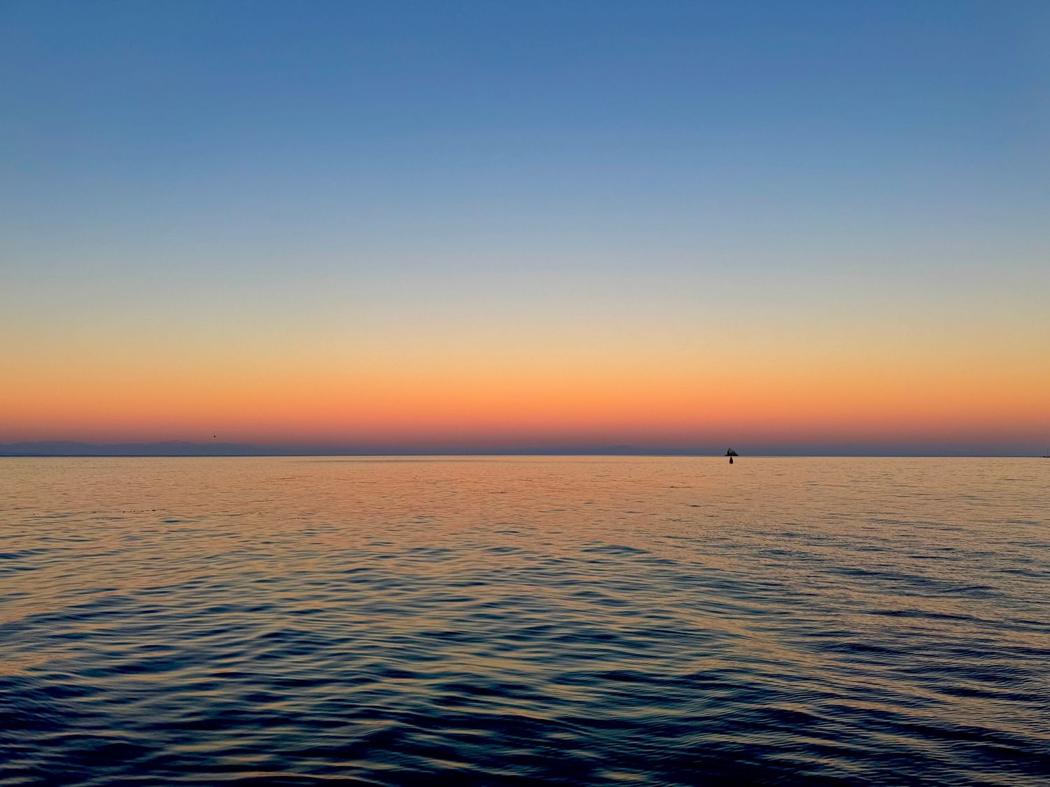 Catalina Sunset