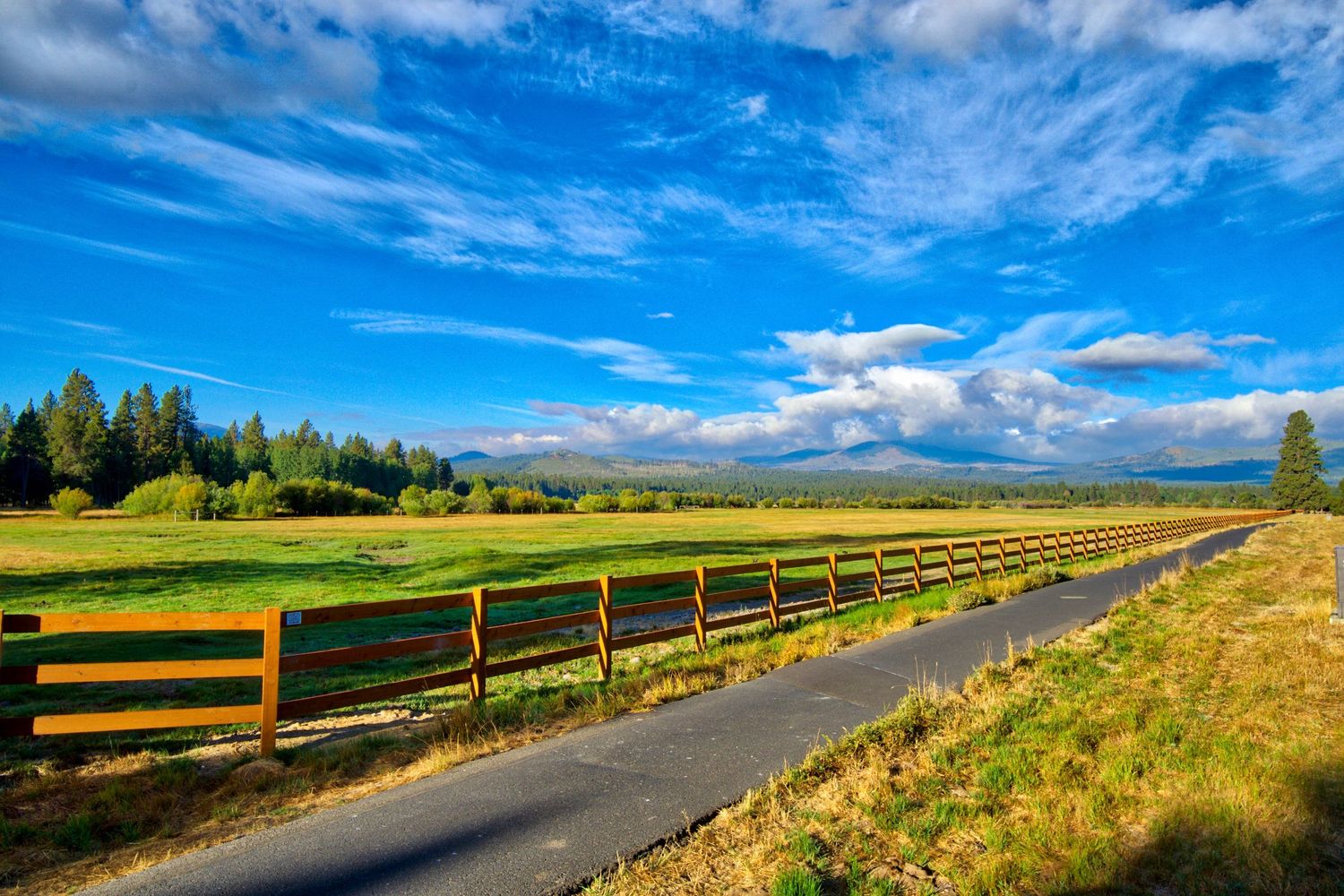 Black Butte stables