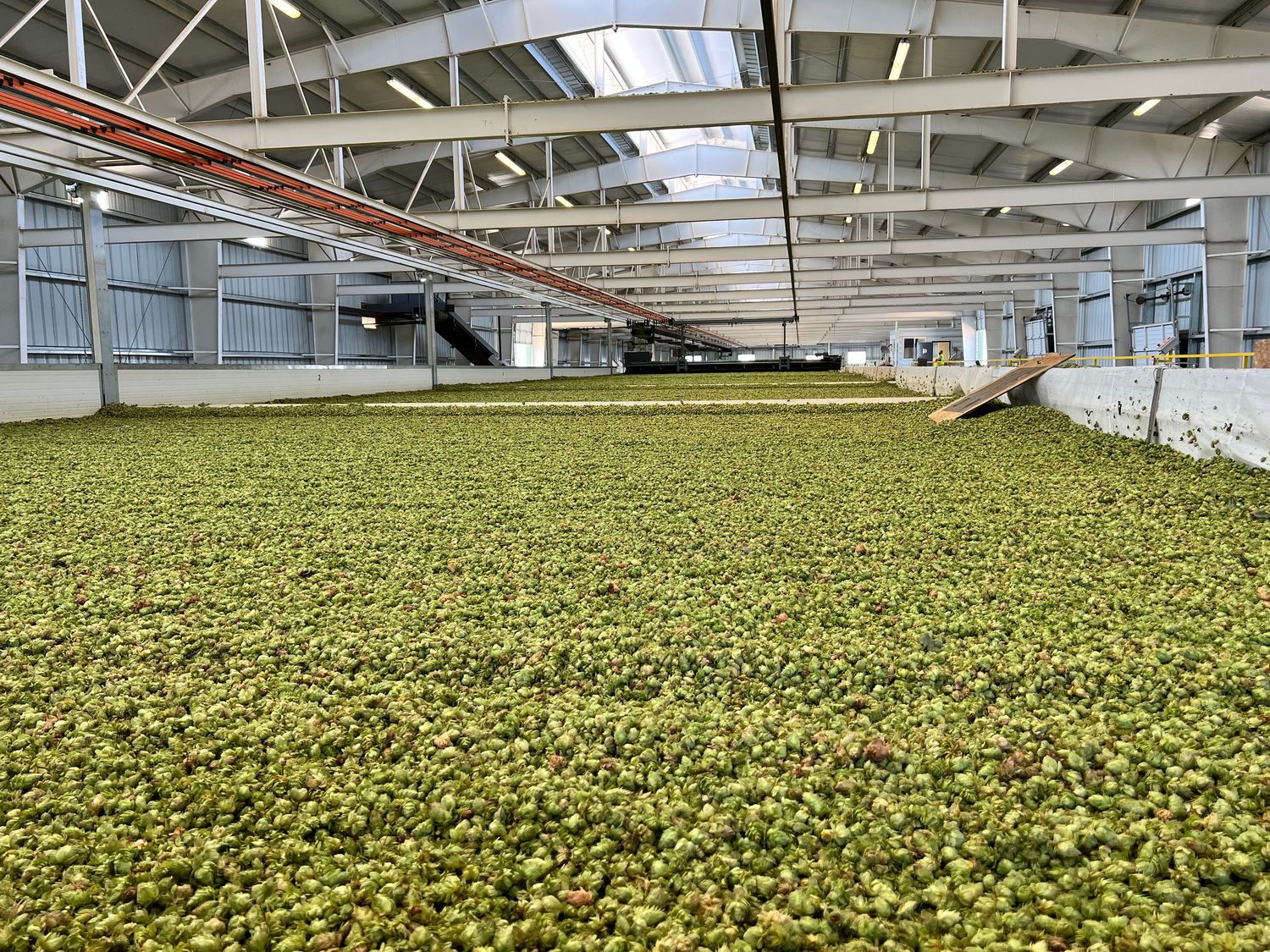 Hops drying