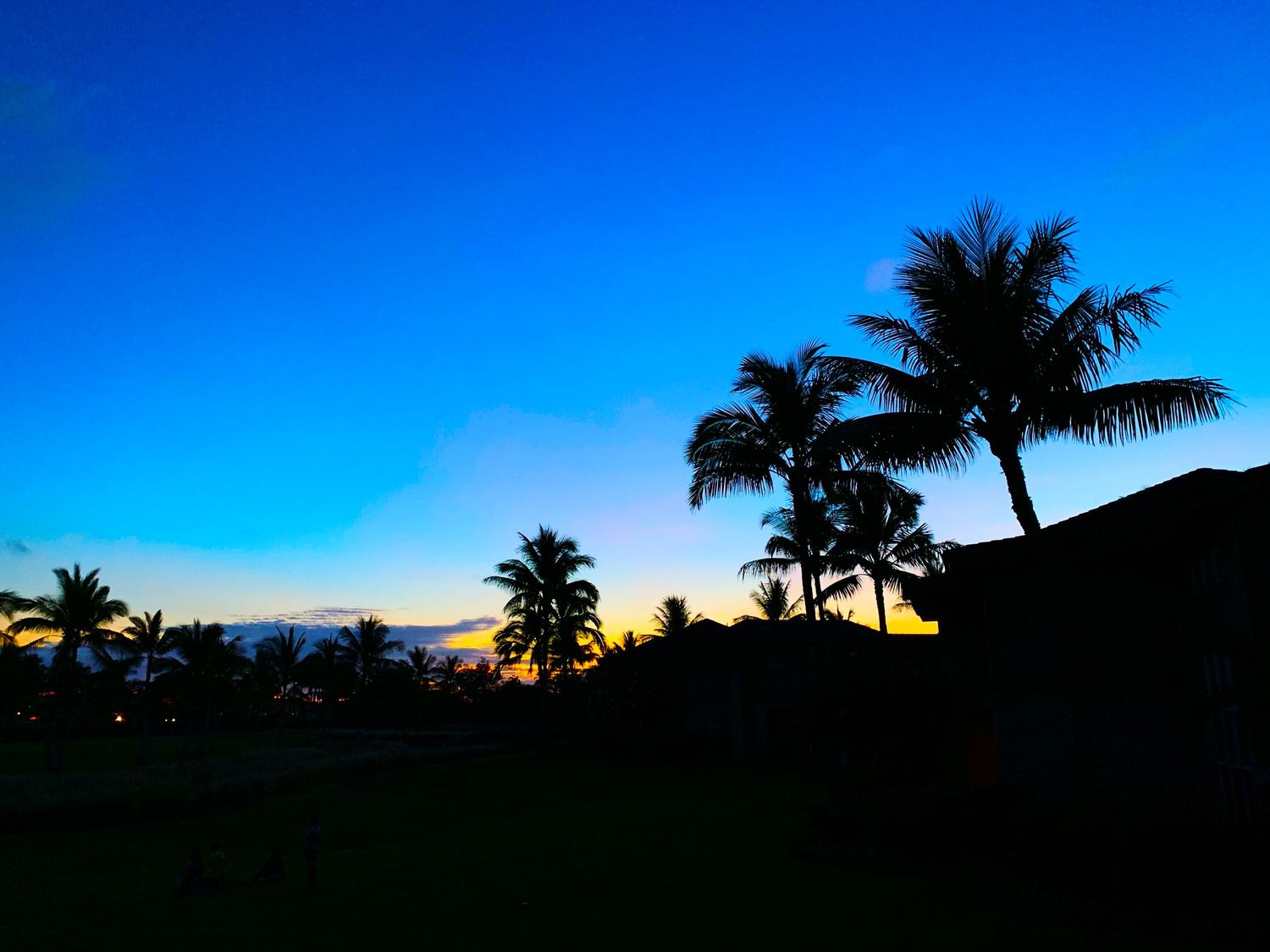 Hawaii sunset silhouette