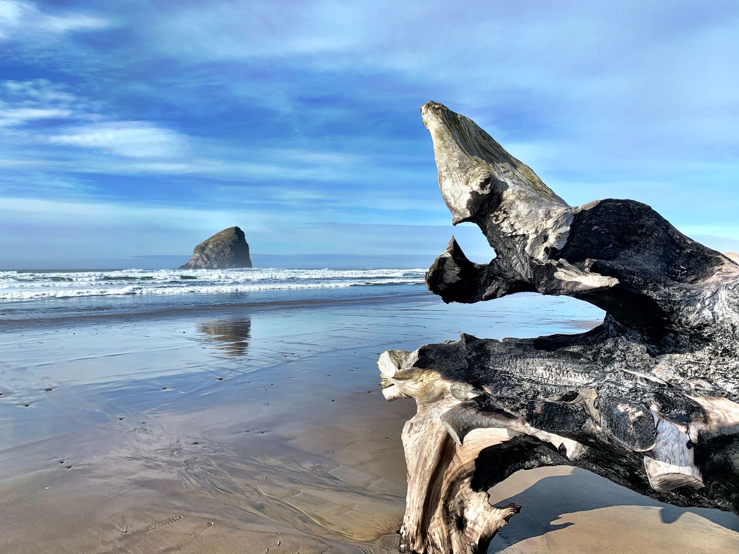 Haystack rock and driftwood