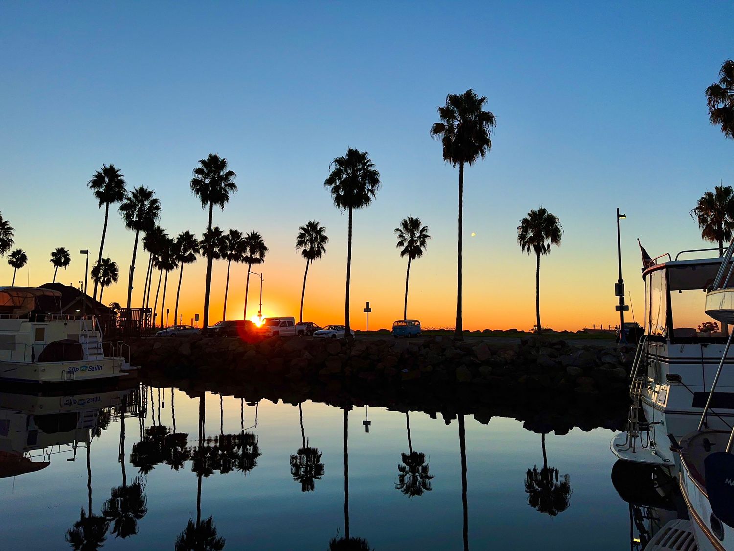 Palms and harbor at dusk with sun