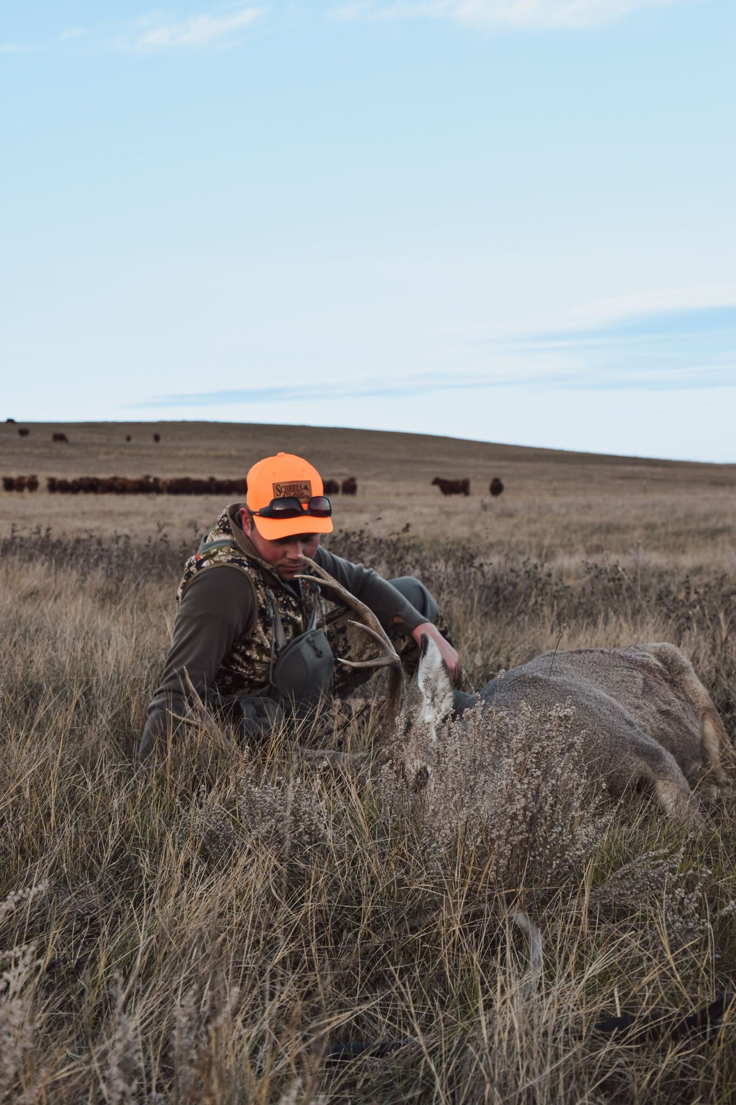 deer hunting