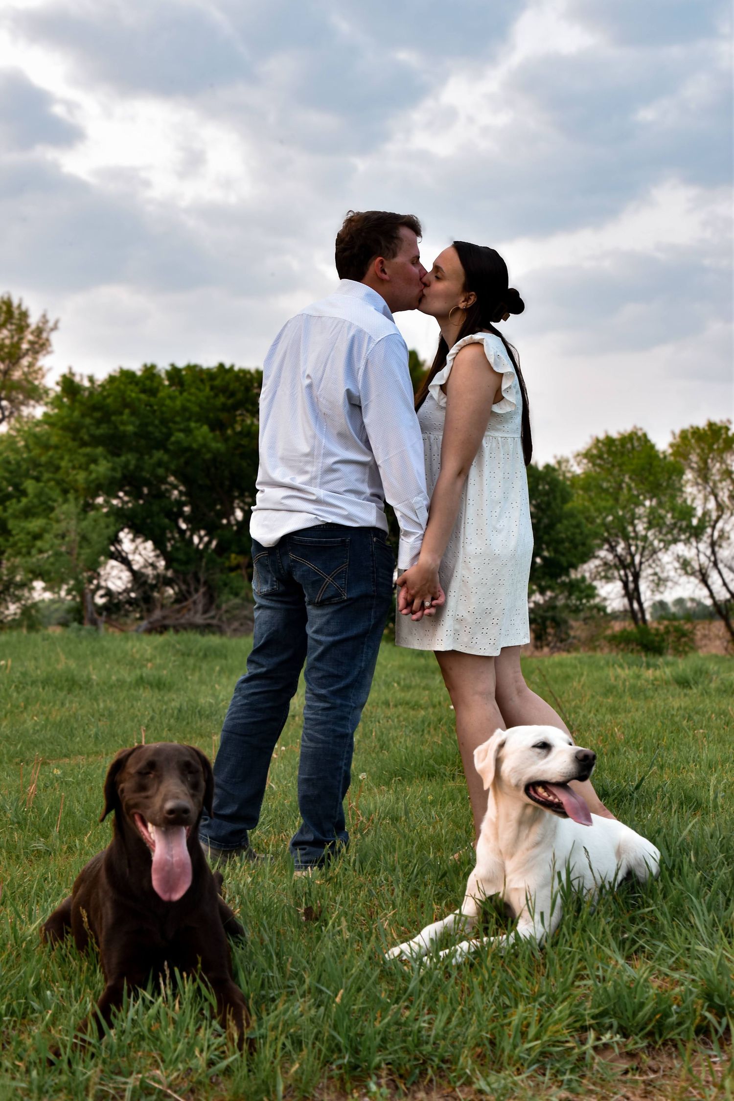 engagement session outside with dogs