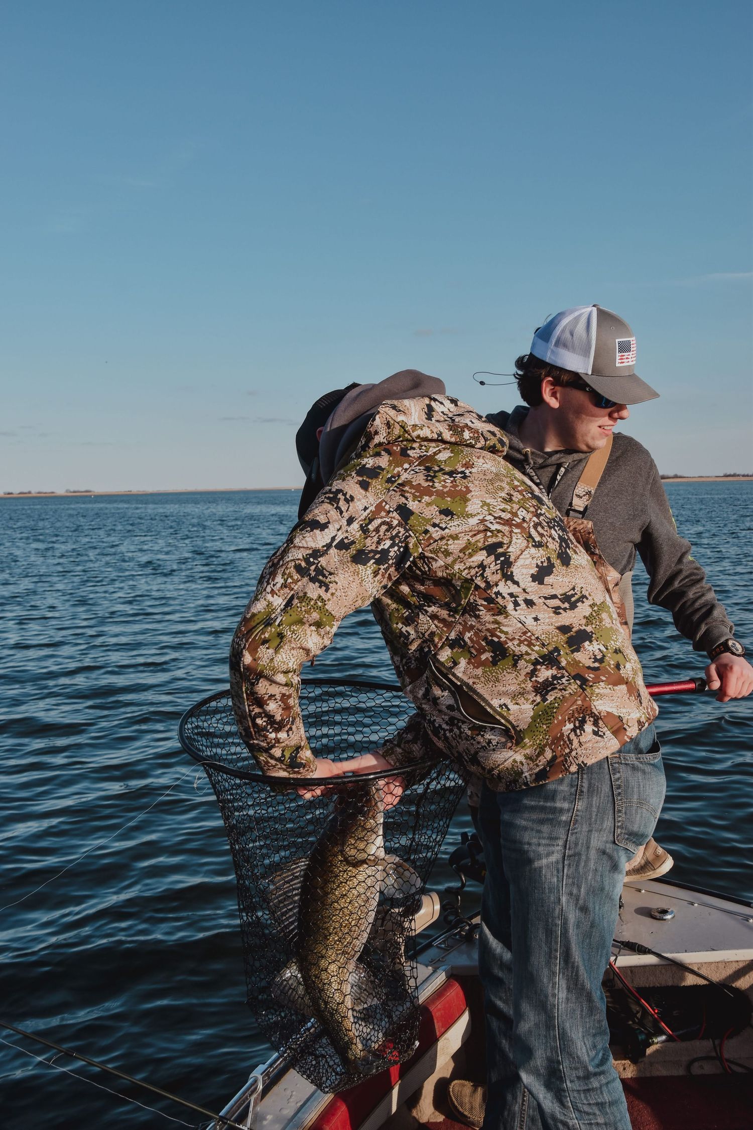 big walleye in a net