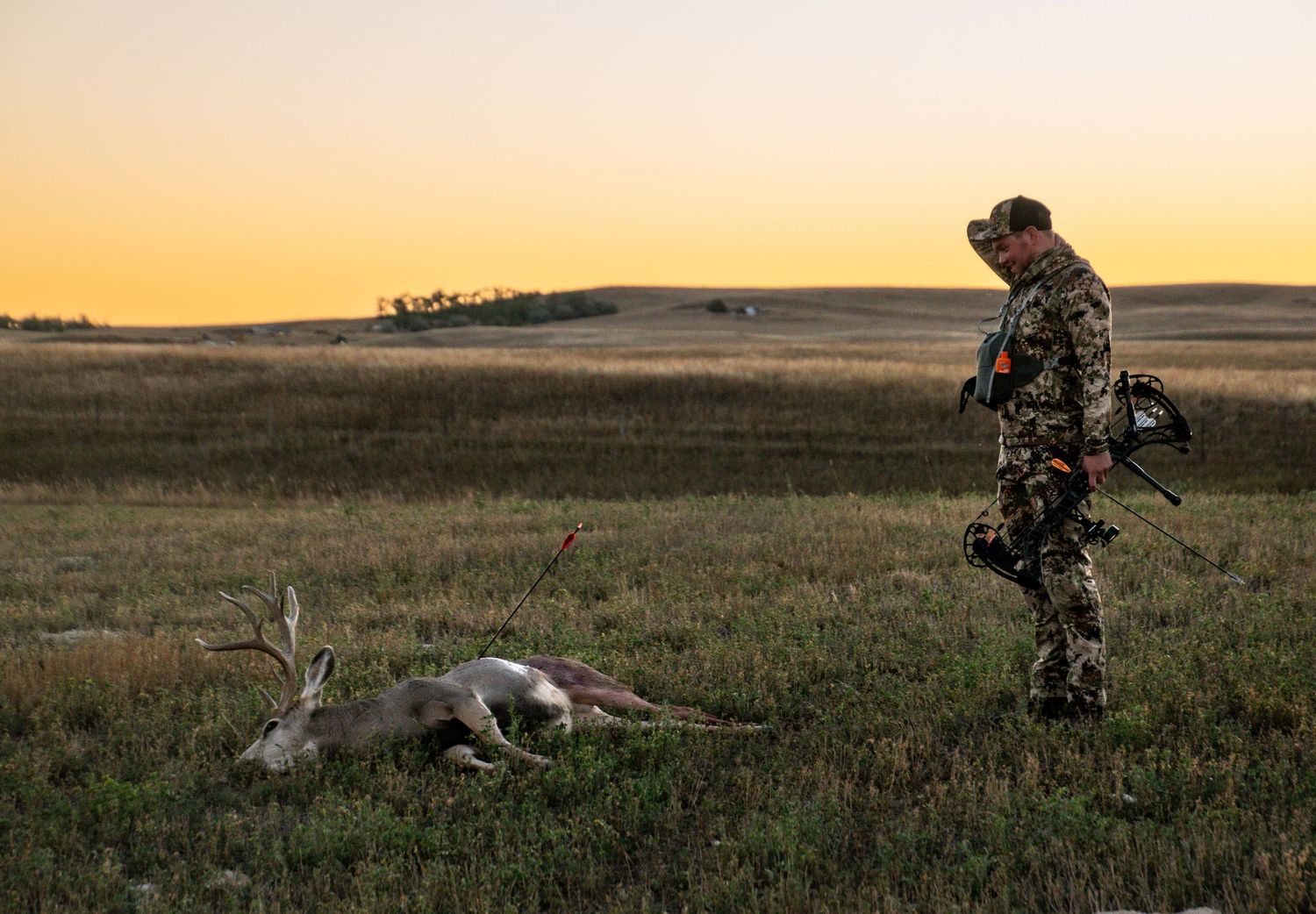Disbelief while hunting