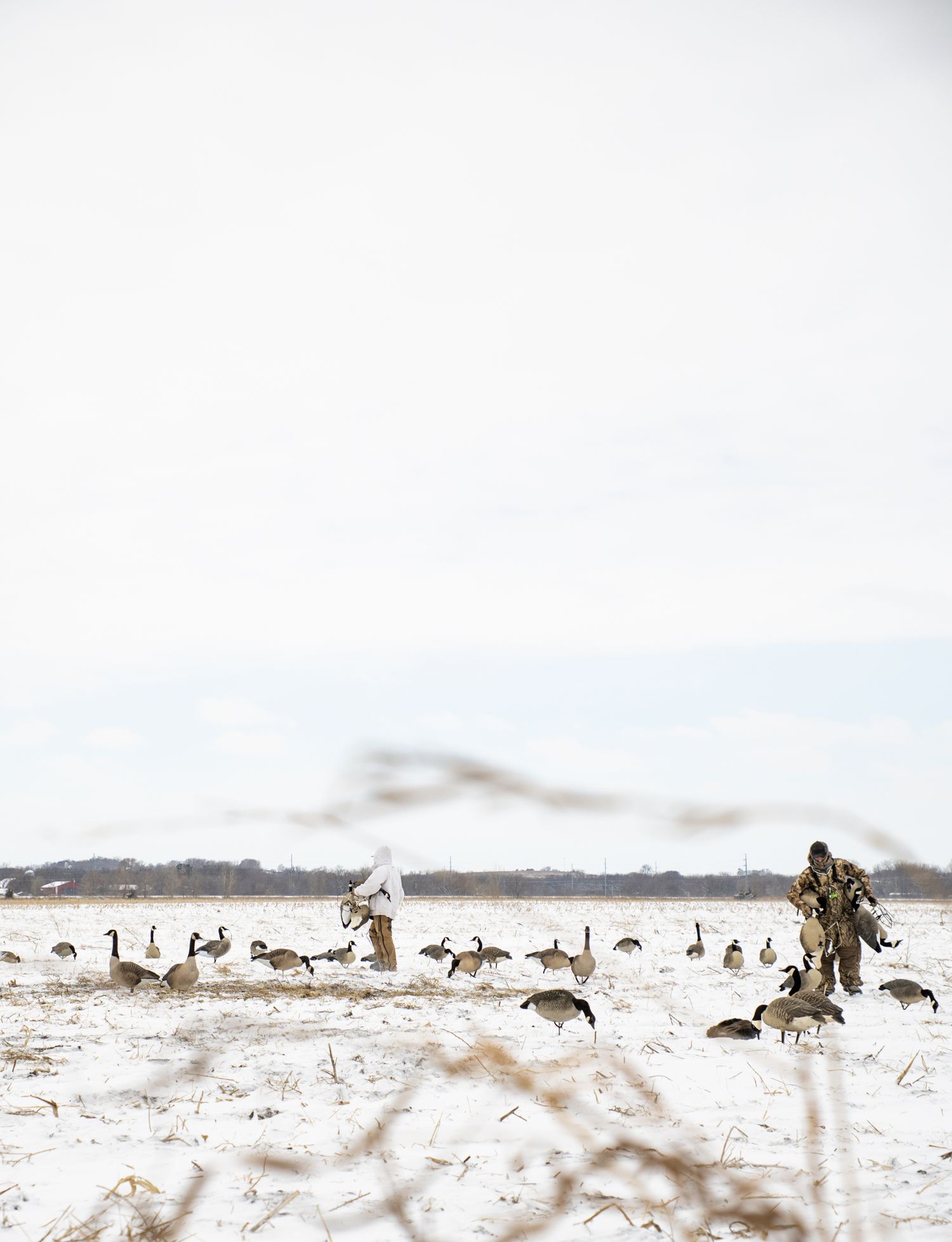 Goose hunting in the snow