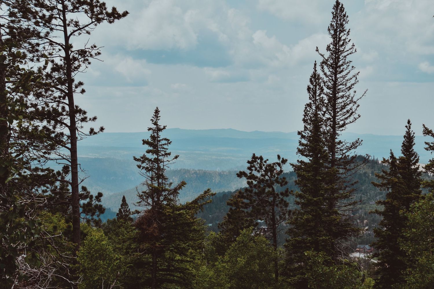 blue mountains