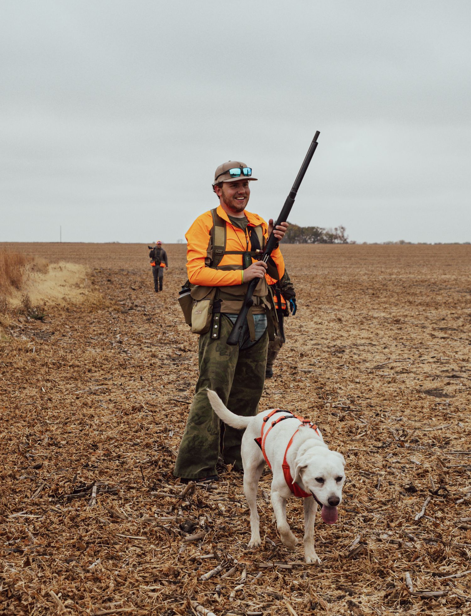 pheasant hunting