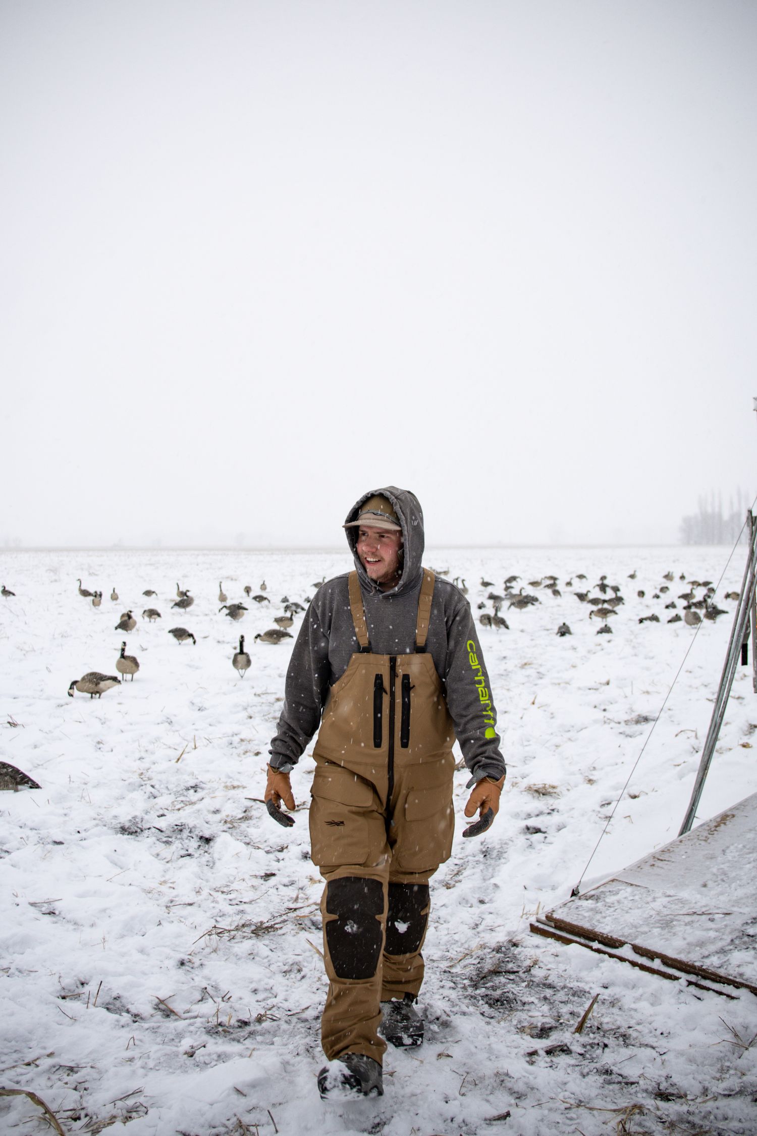 Goose hunting in the snow