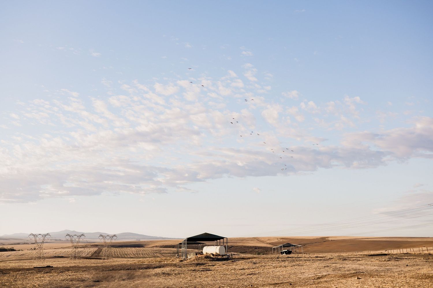 Vast open farmland with a small shed under a wide sky with scattered clouds.