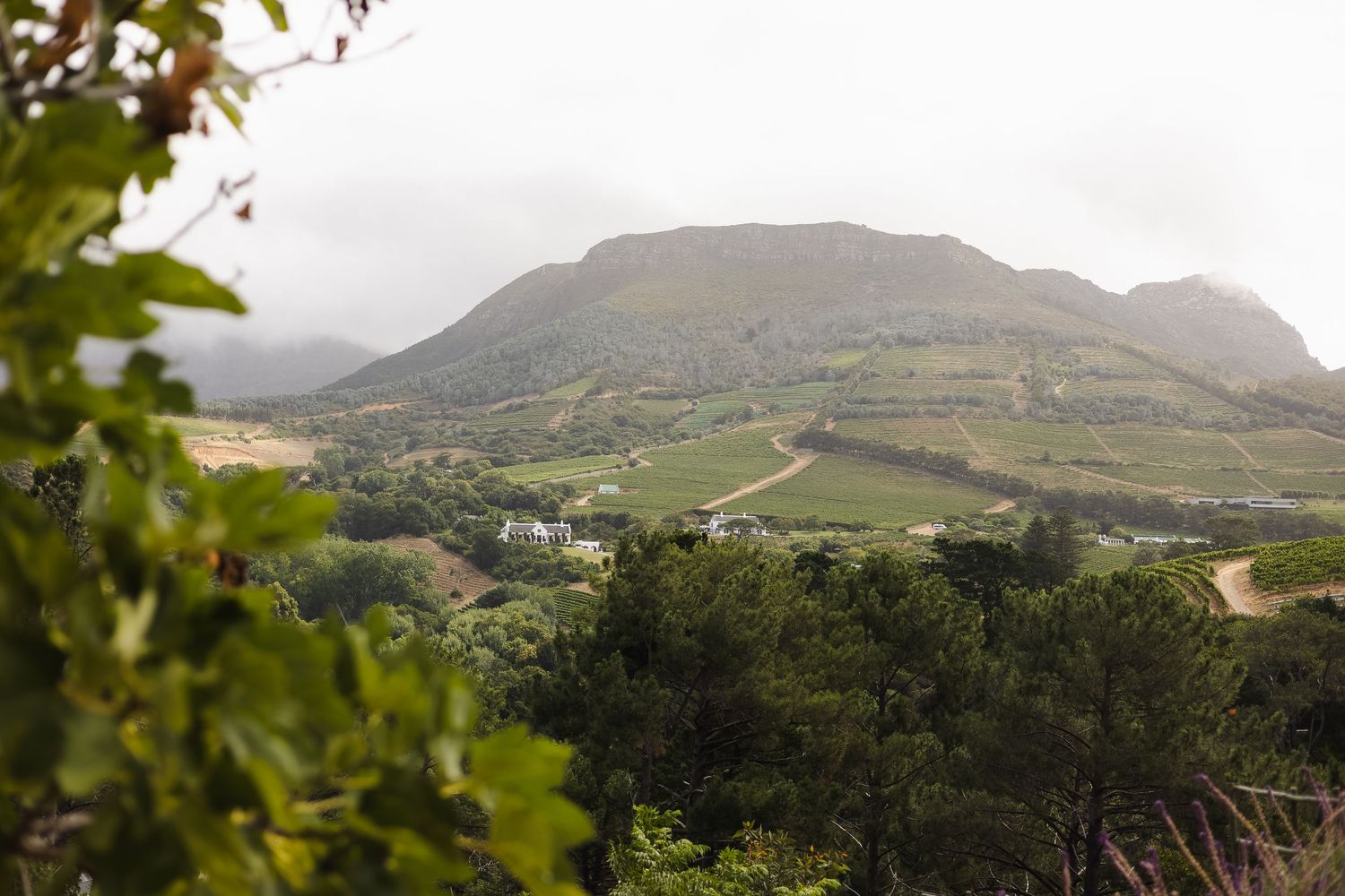 Scenic panoramic view of rolling green hills and mountains in the countryside on a cloudy day.