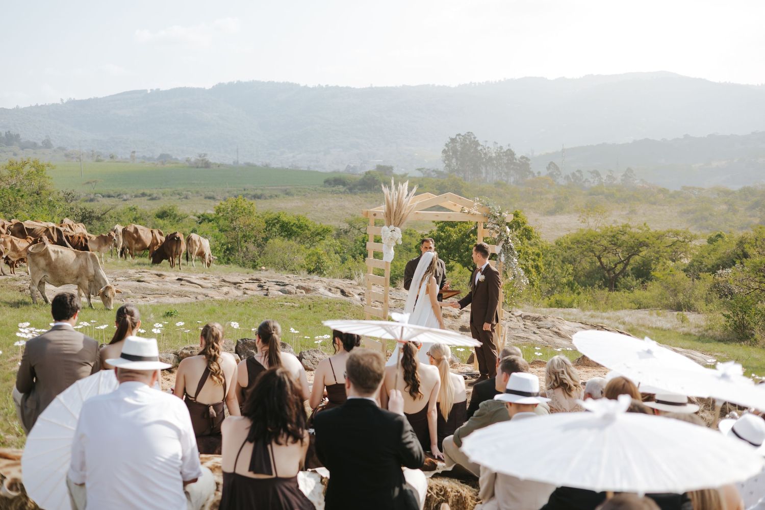 Outdoor wedding ceremony with mountain views, guests seated with white parasols, and cattle grazing nearby.