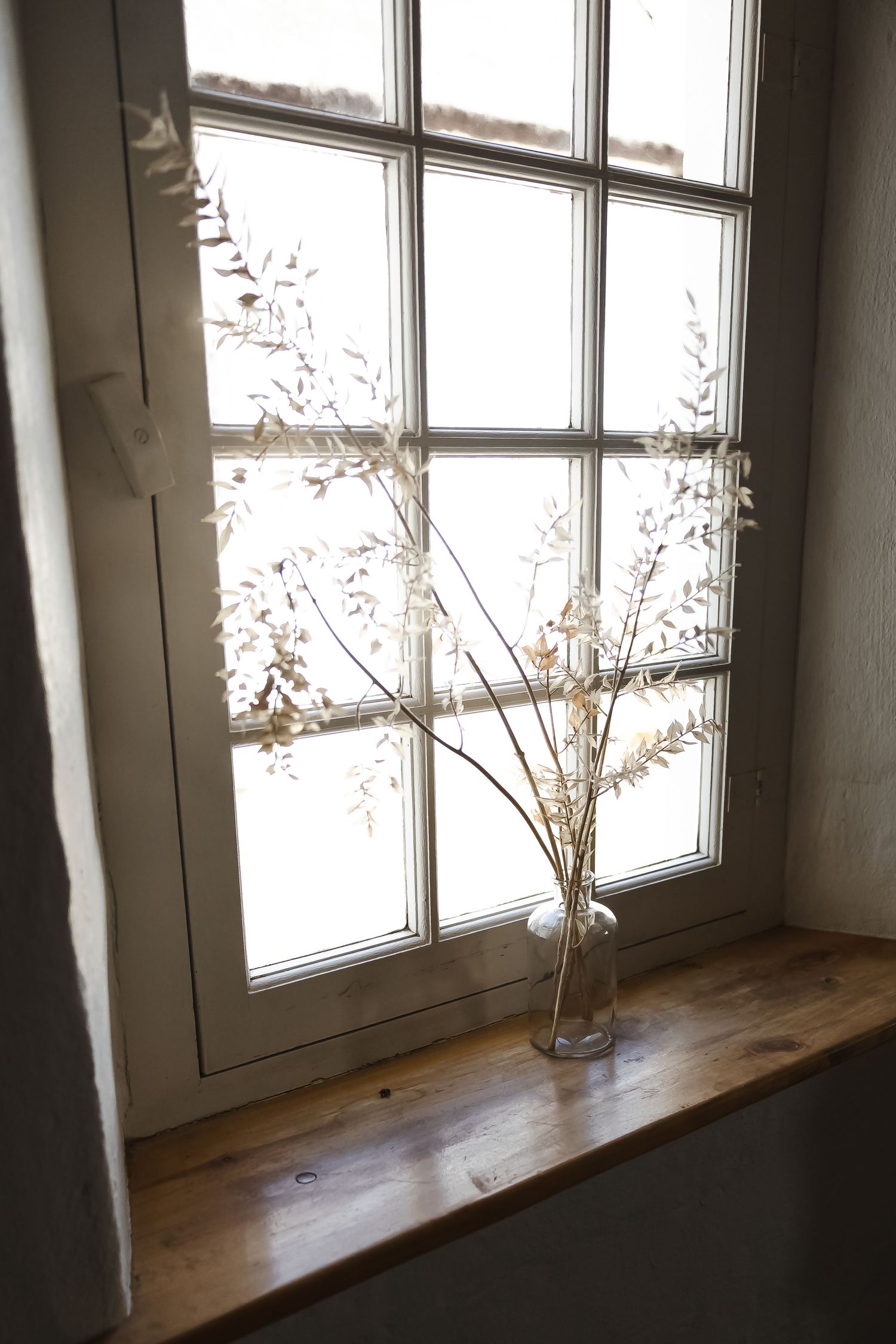 A rustic wooden windowsill with a delicate vase holding dried branches against natural light streaming through panes.