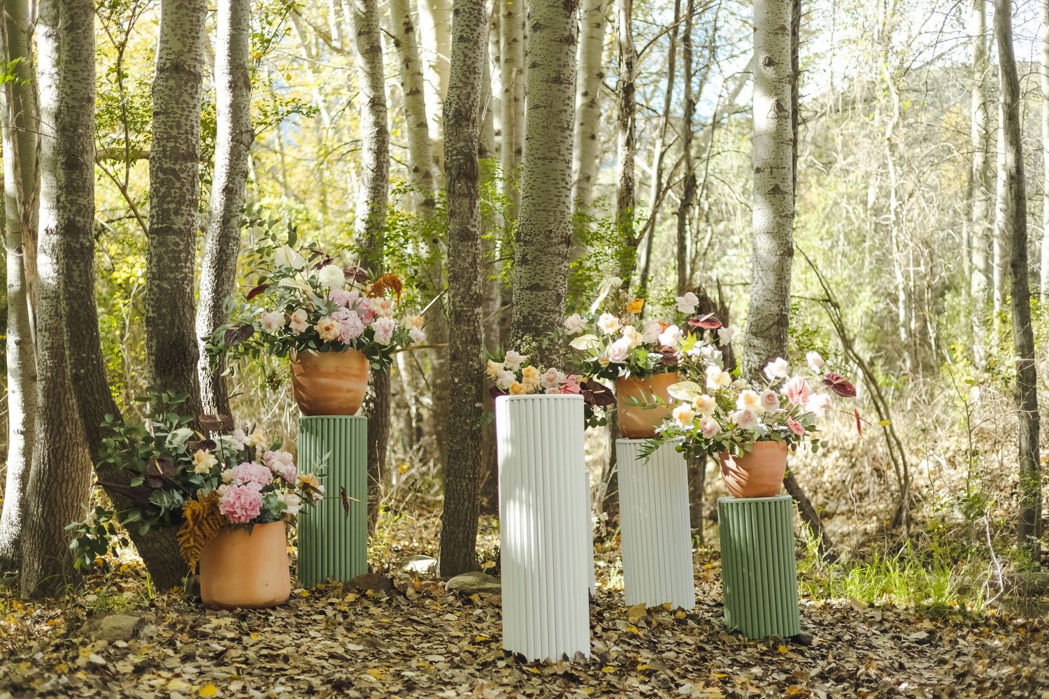 Rustic woodland setting decorated with vintage items and florals among birch trees.