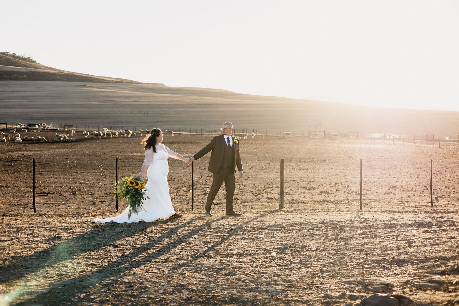 Bride and groom holding hands walking through golden sunlit farm field, bride holding vibrant sunflower bouquet in flowing white gown.