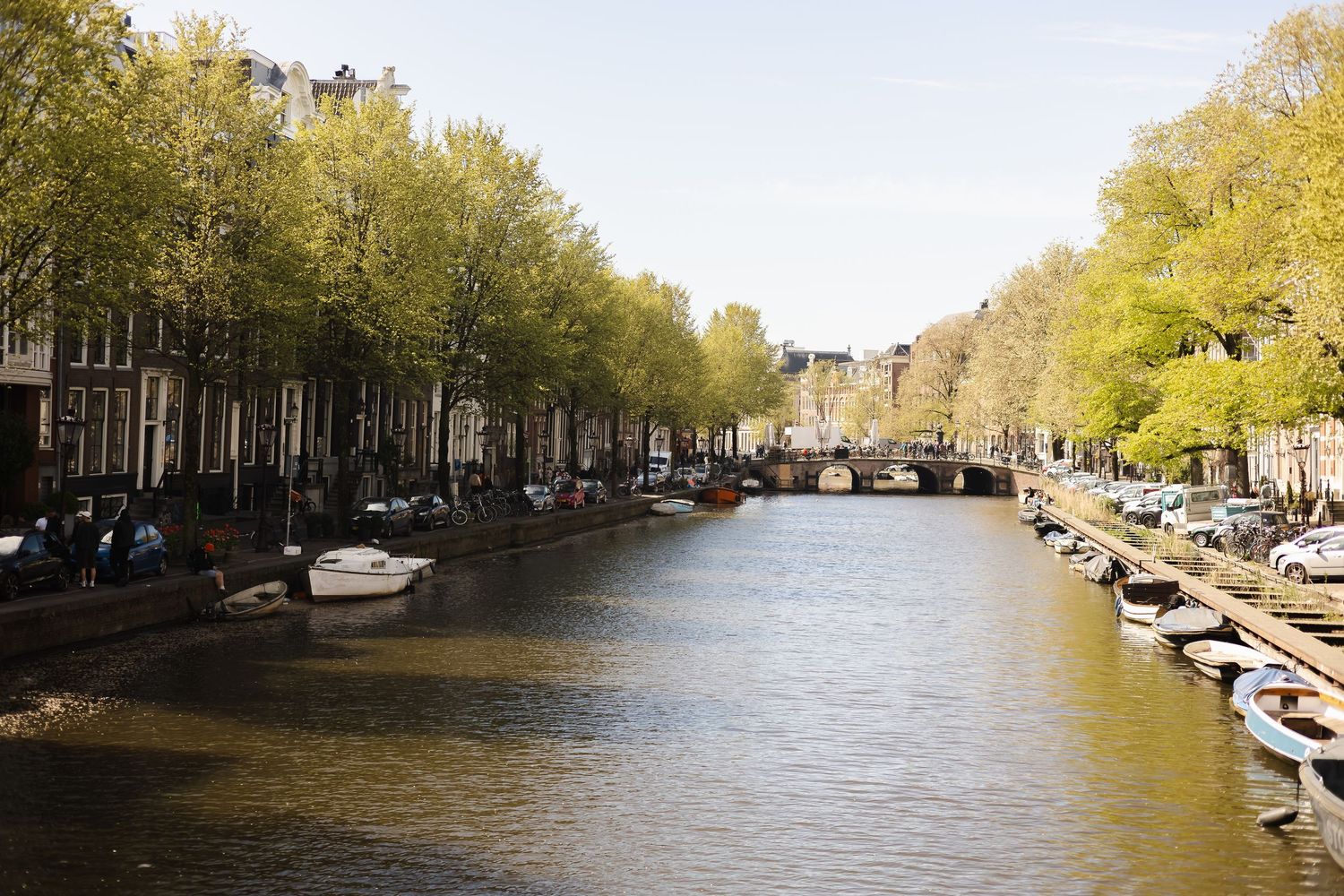 A serene Amsterdam canal lined with trees and moored boats, flanked by historic buildings on a sunny day.
