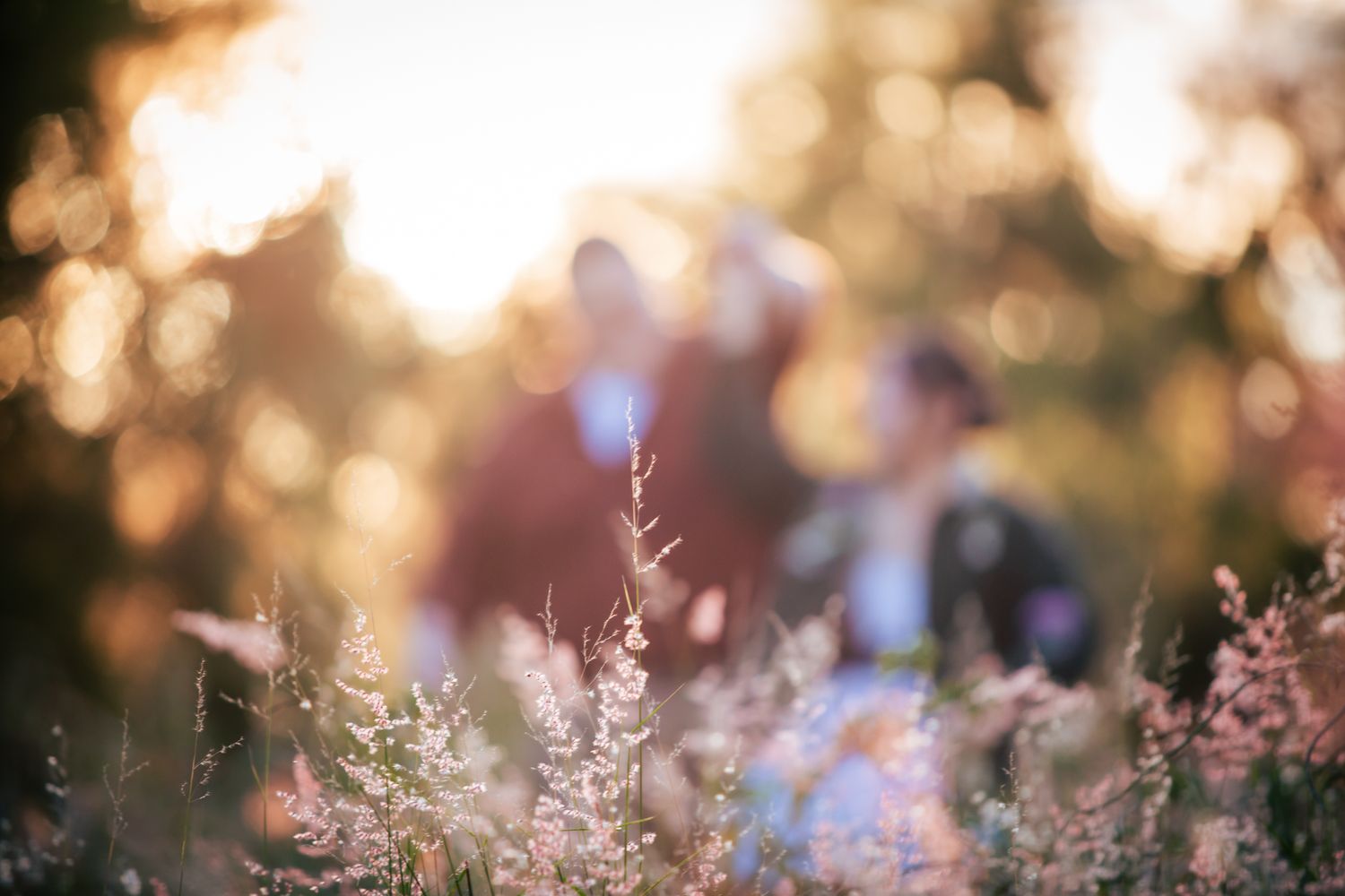 a couple look dance in the long grass at their playful pre wedding photoshoot