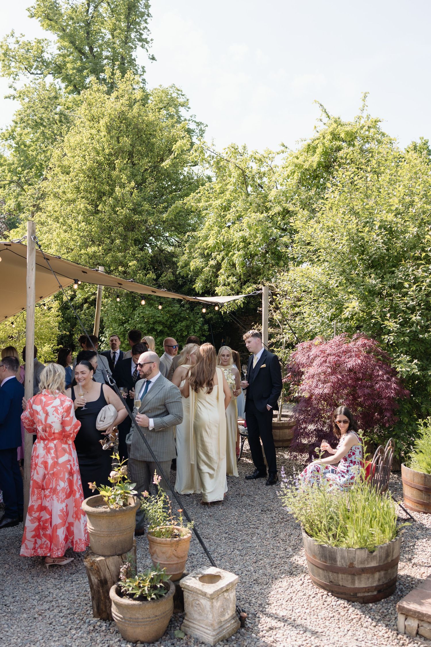 Drinks reception in the sunshine, shaded by the canopy in Holesfoot's walled garden