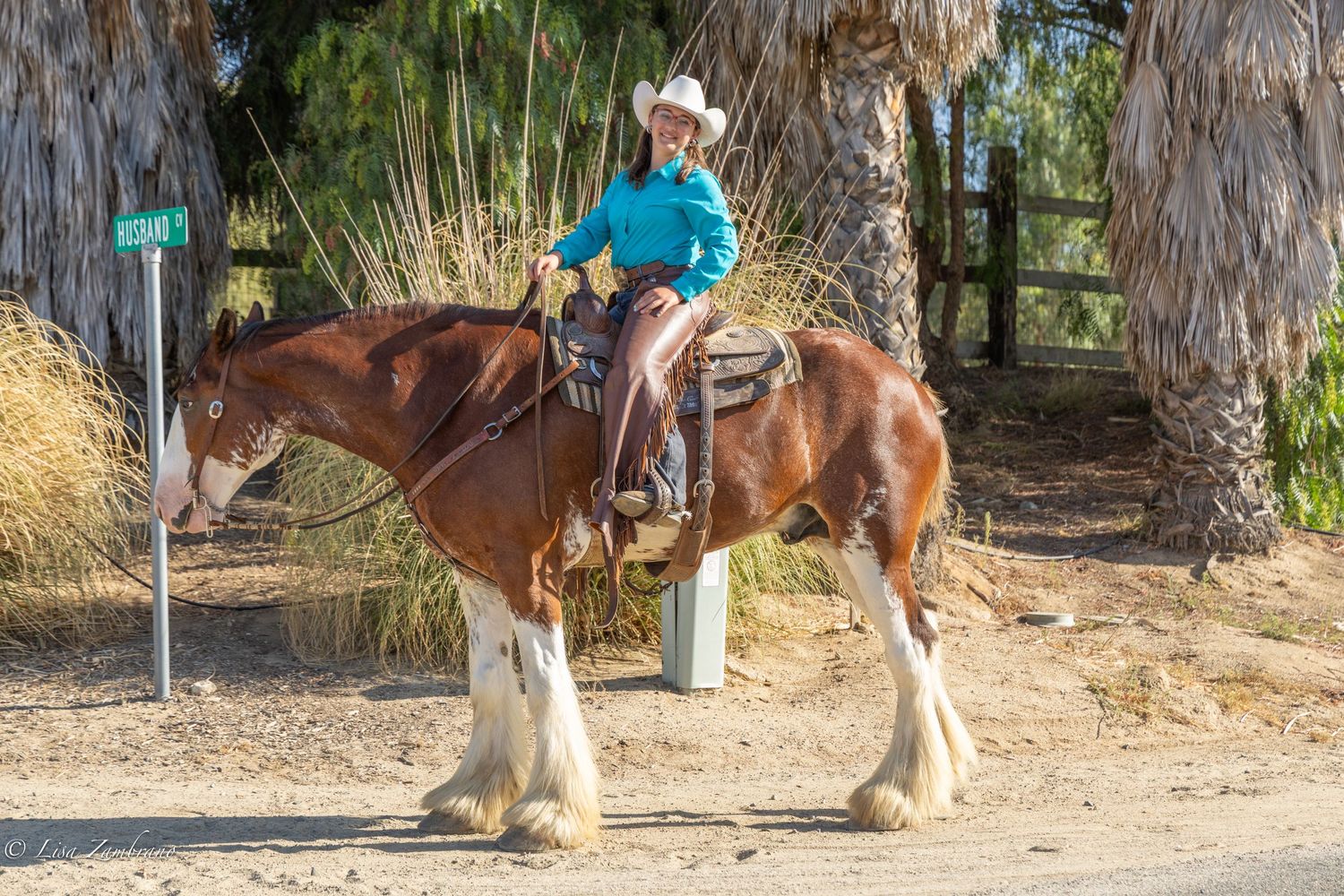 Temecula Carriage Company, Temecula, CA.
Temecula Carriage House Ranch with our gentle giant Clydesdales. Sunday, June 28, 2026. Enjoy fresh