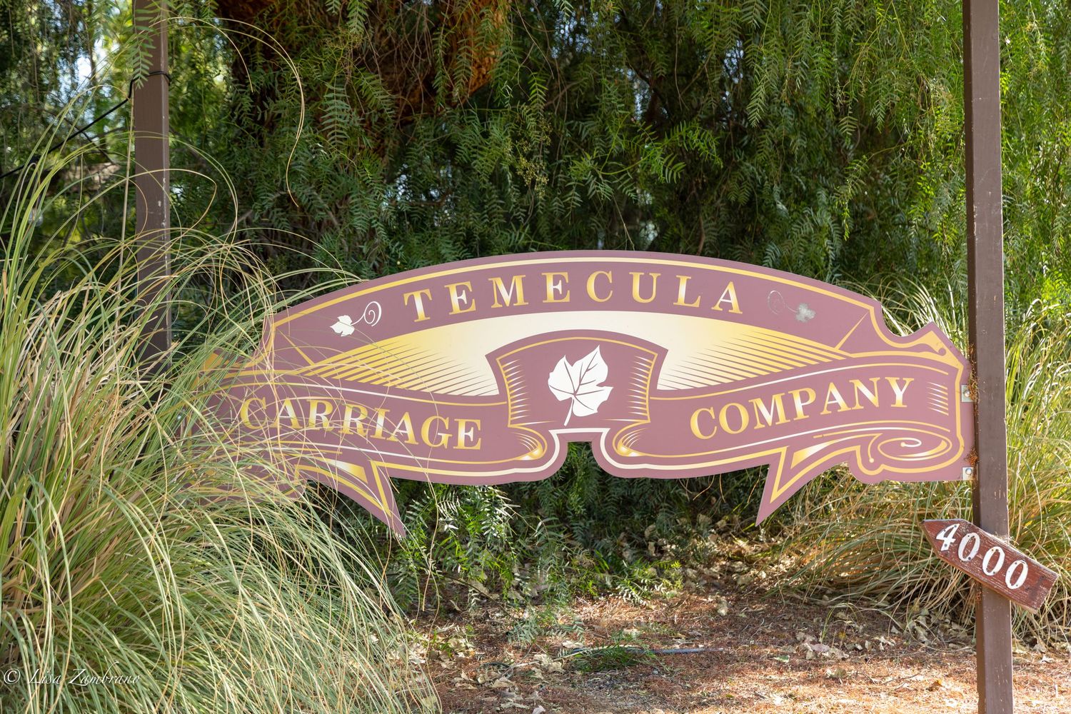 Temecula Carriage Company, Temecula, CA.
Temecula Carriage House Ranch with our gentle giant Clydesdales. Sunday, June 28, 2026. Enjoy fresh