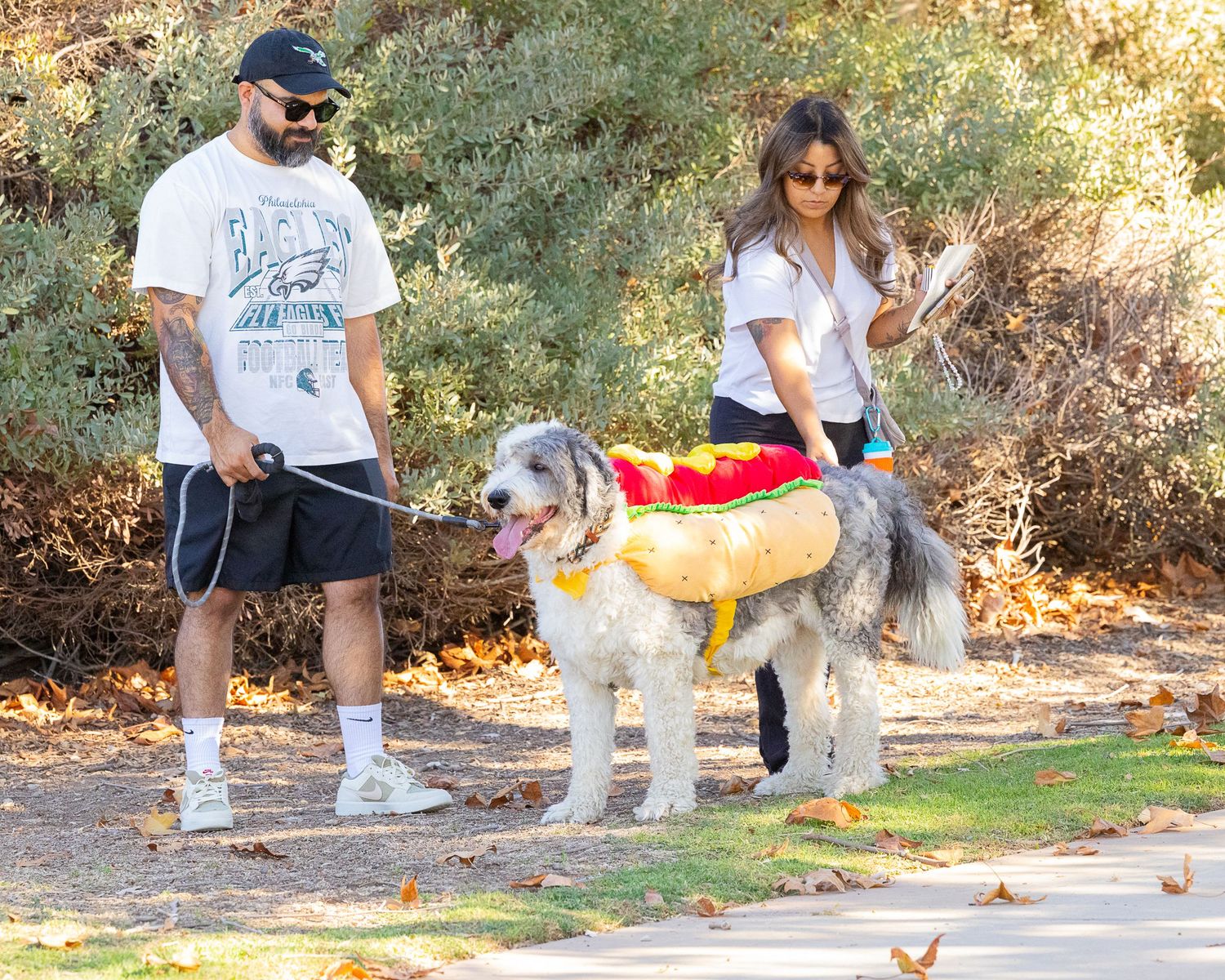 Couple walking a large fluffy dog dressed in a hot dog Halloween costume on a park path.