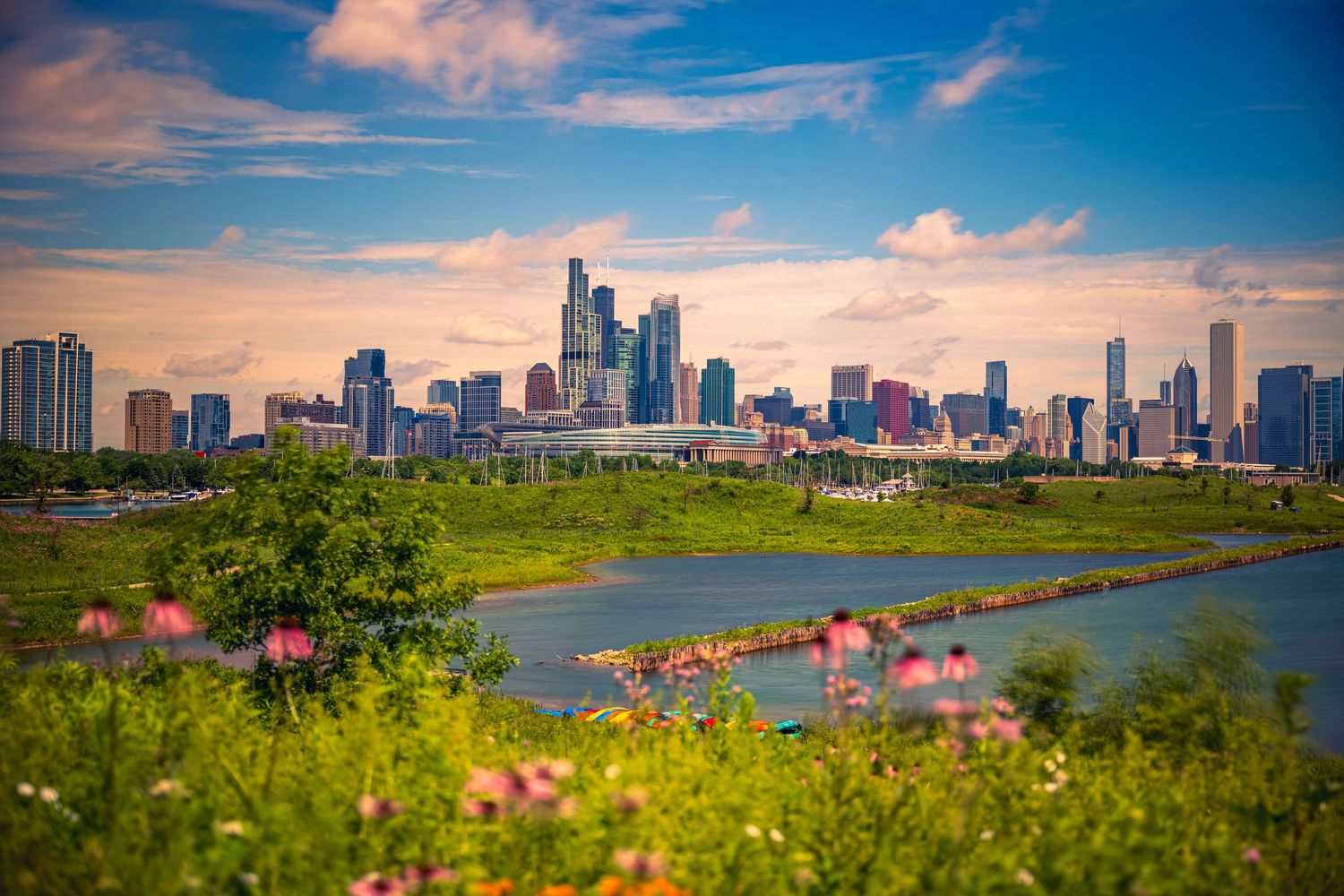 Chicago skyline viewed from a lush green park with pink wildflowers and a river under a vibrant blue sky.