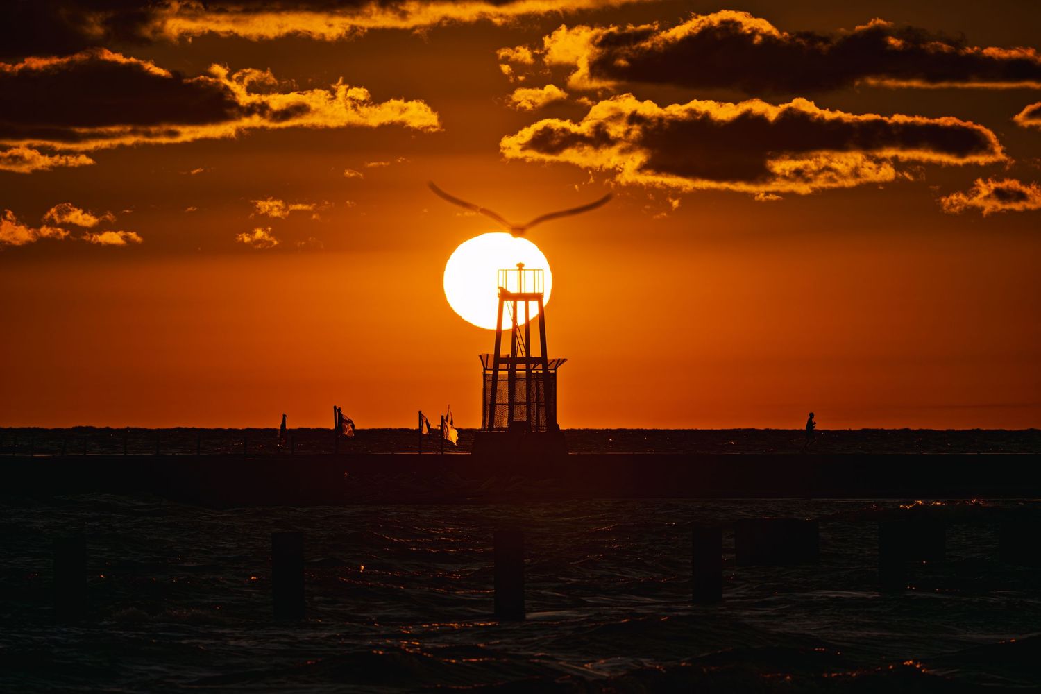 Stunning orange sunset over the ocean with a silhouetted lighthouse tower and a seagull flying across the glowing sun.