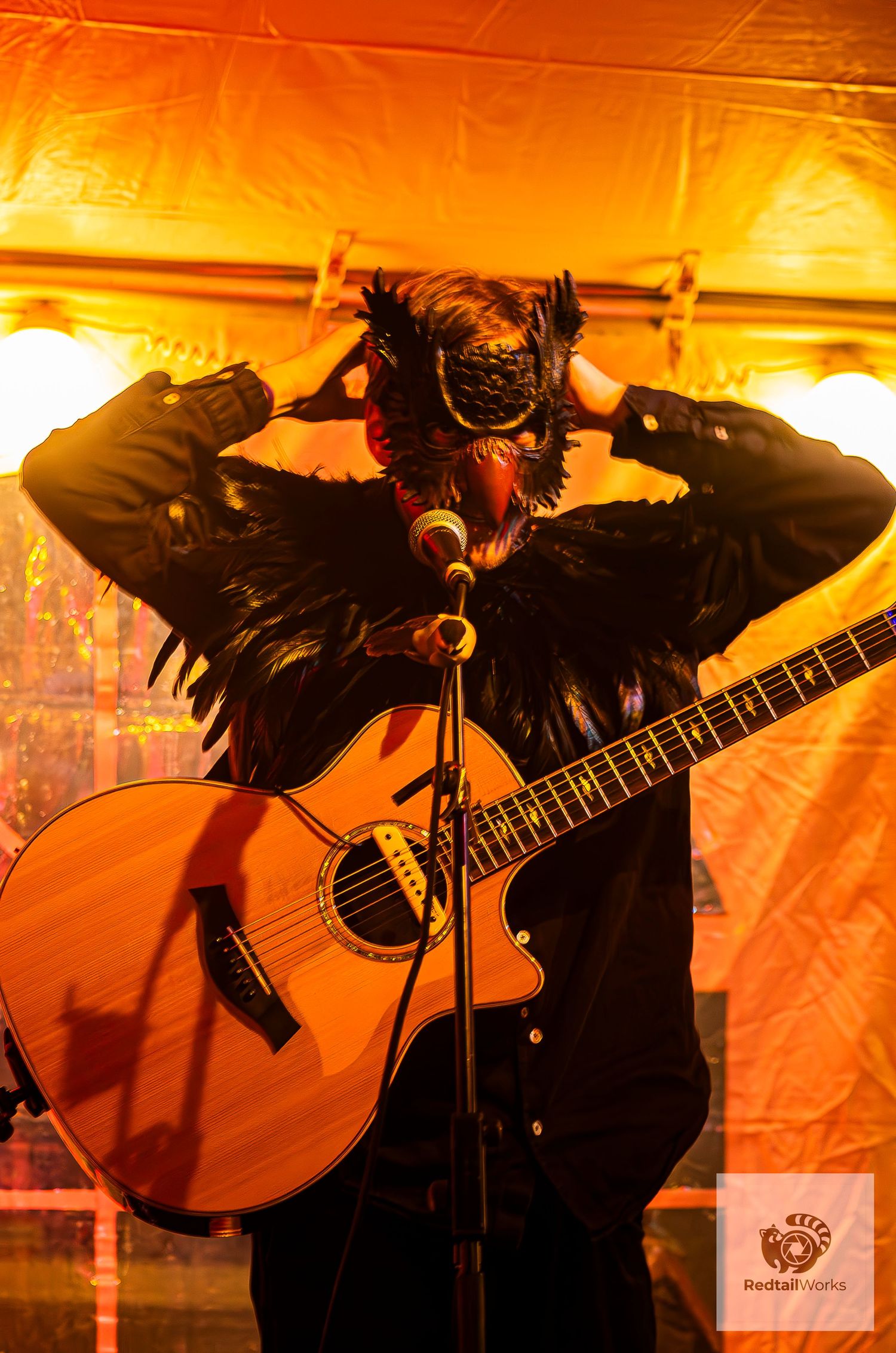 Masked performer wearing bird costume plays acoustic guitar on stage under warm orange lighting.