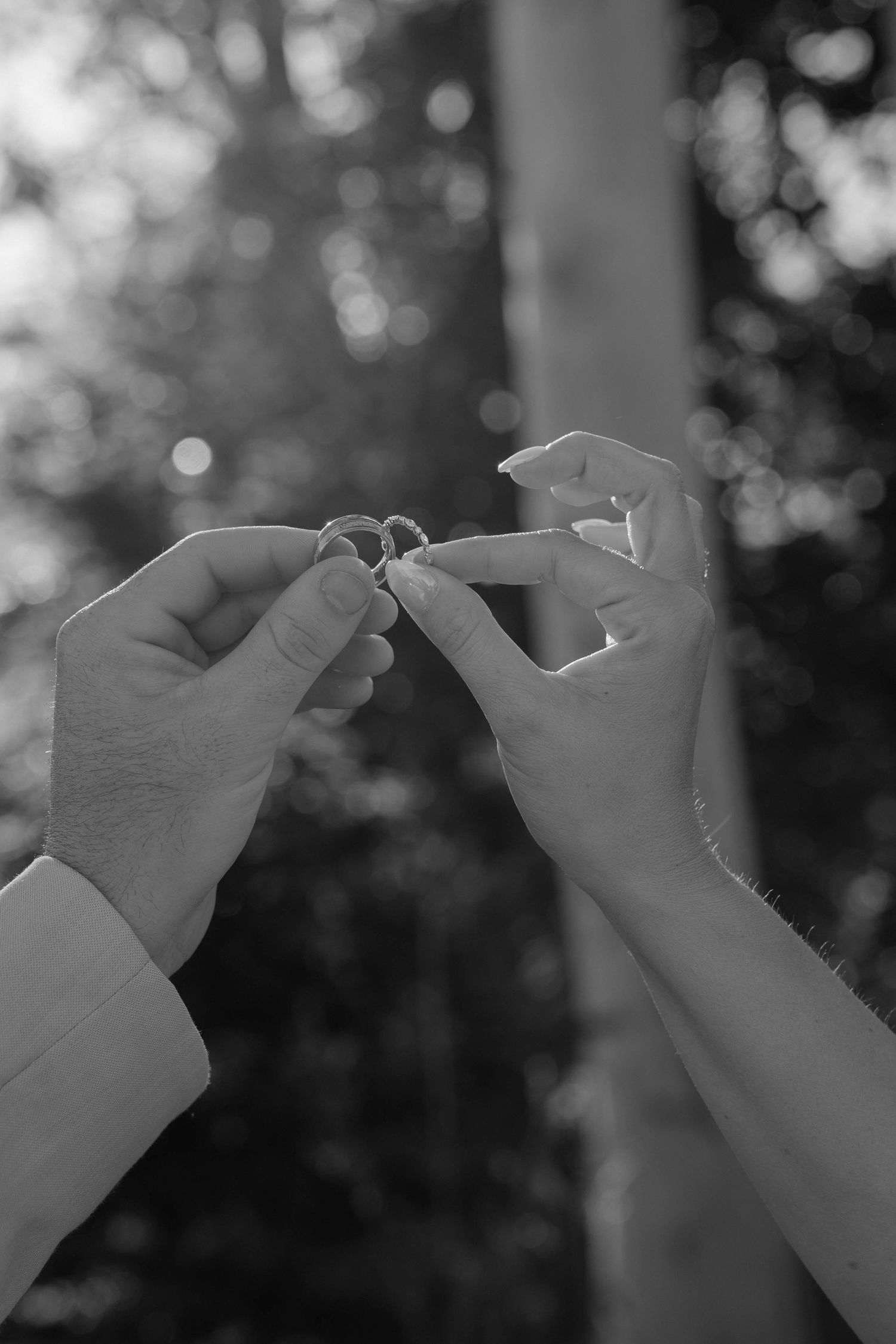 Close-up of bride and groom holding their rings