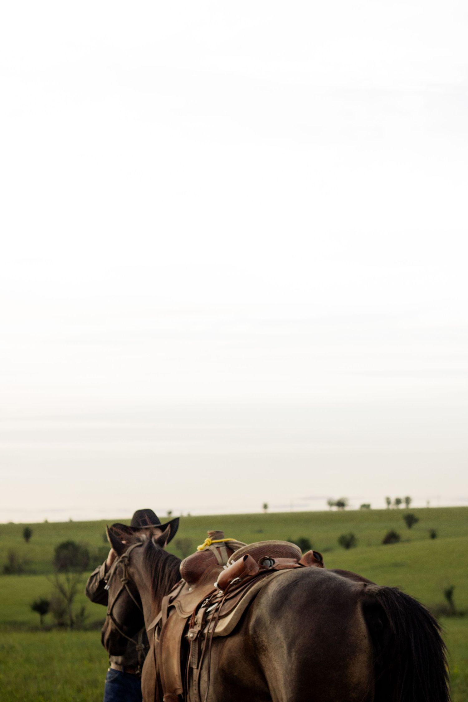 Cowboy in hat stands beside a saddled brown horse in a vast green field under an overcast sky.