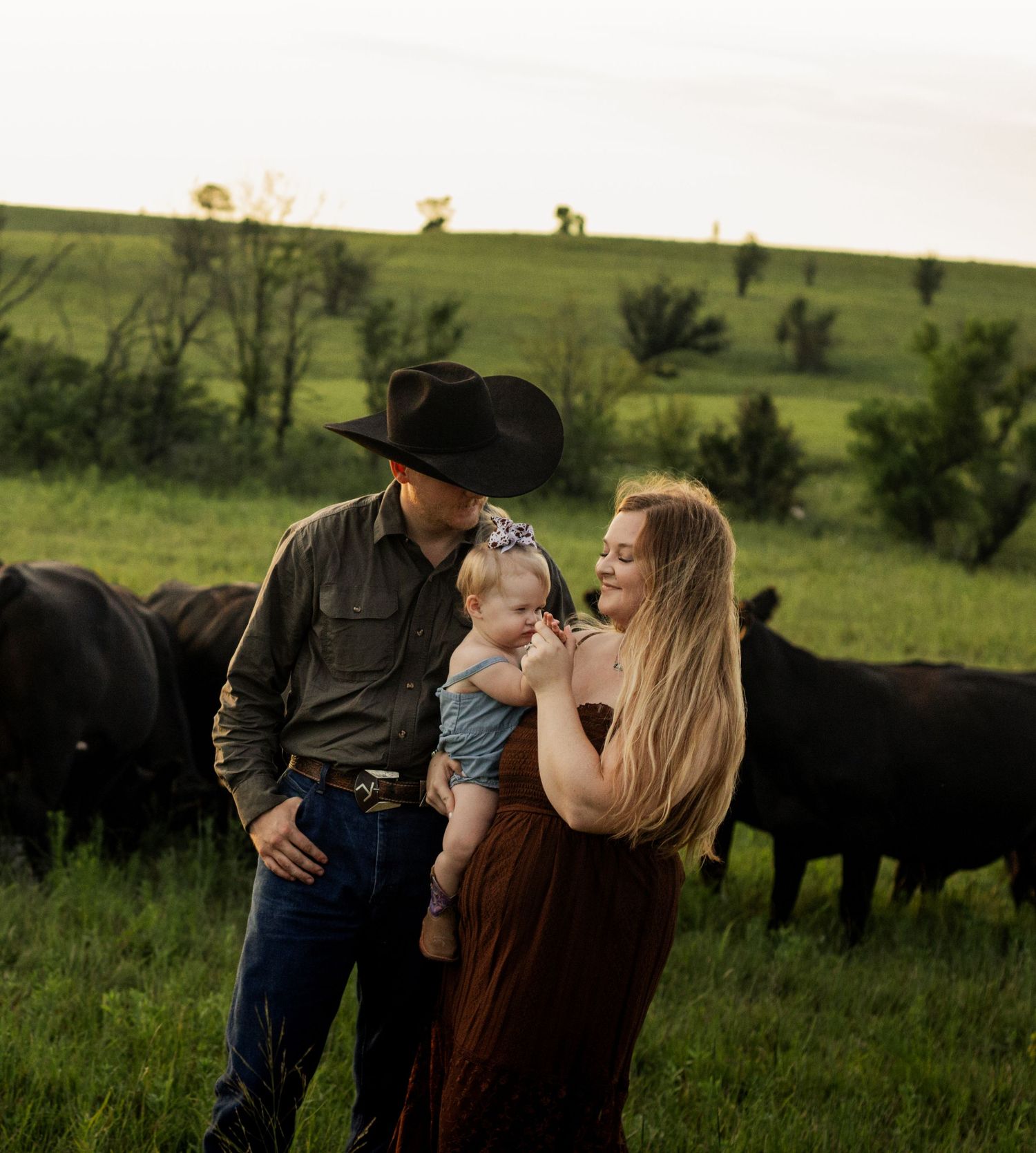 A young family with a baby stands in a green pasture with black cattle, man wearing cowboy hat, woman in brown dress.