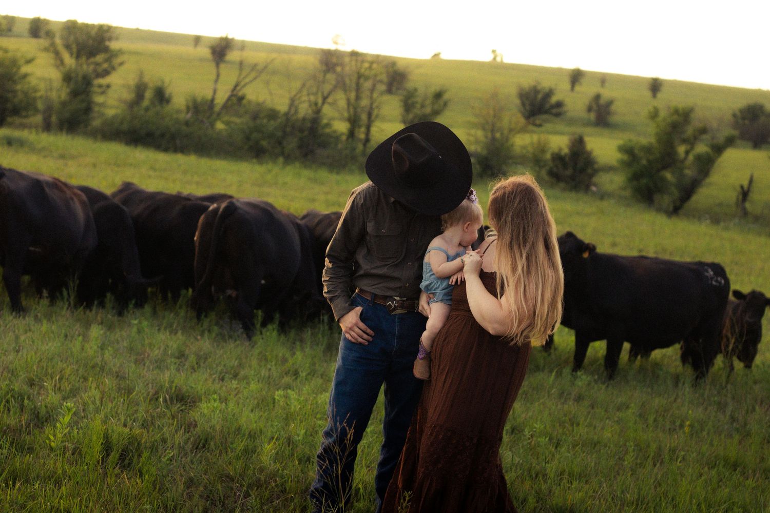 A couple in a green field holding a baby surrounded by black cattle at sunset.