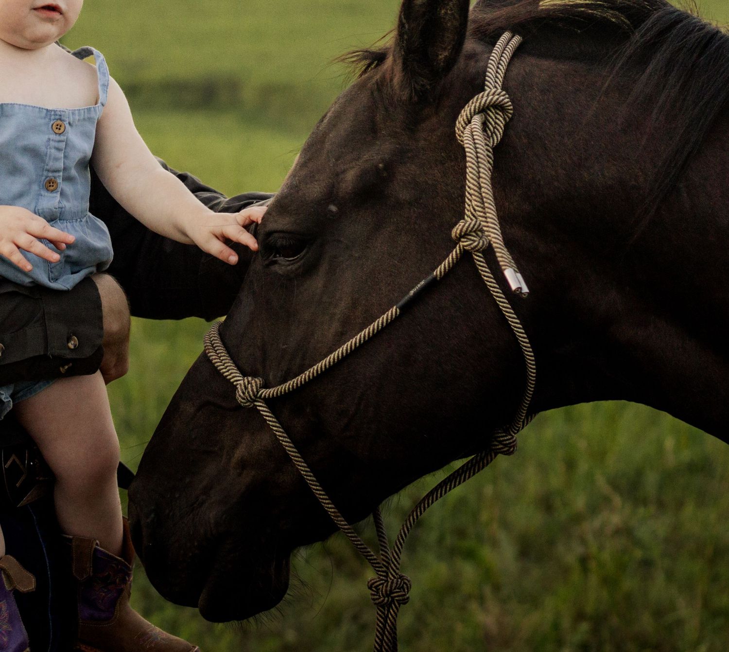 A young child in denim overalls and cowboy boots gently pets a dark brown horse wearing a rope halter in a green field.