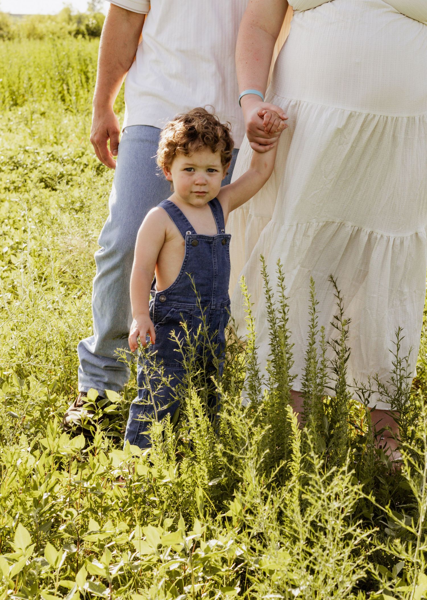 Toddler in denim overalls holds mother's hand in a sunny green field during a maternity photo session.