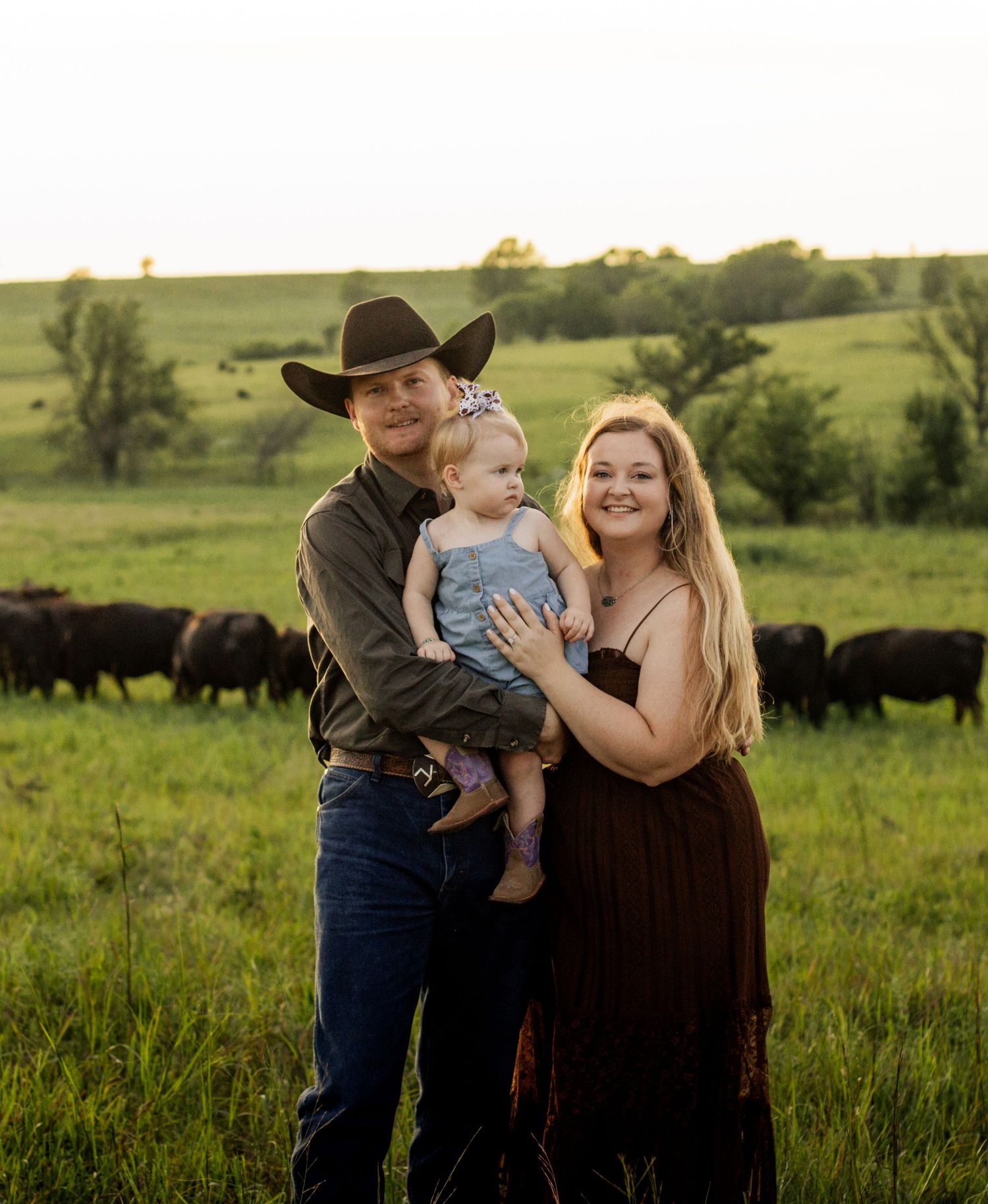 A young family with a cowboy, woman, and toddler posing in a green pasture with black cattle at golden hour.