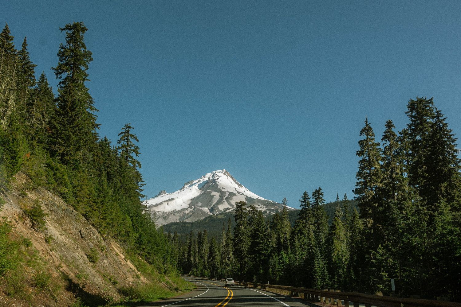 Snow-capped Mount Hood rises above a winding road lined with tall evergreen trees under a clear blue sky.