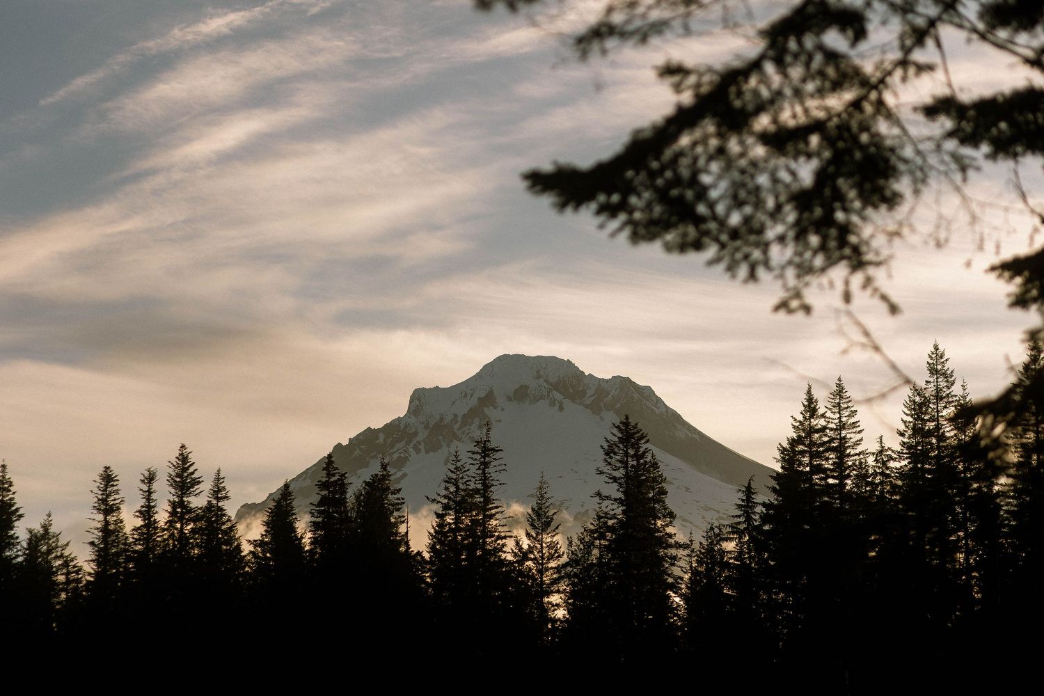 Snow-capped mountain peak framed by silhouetted evergreen trees at sunset with dramatic cloudy sky.