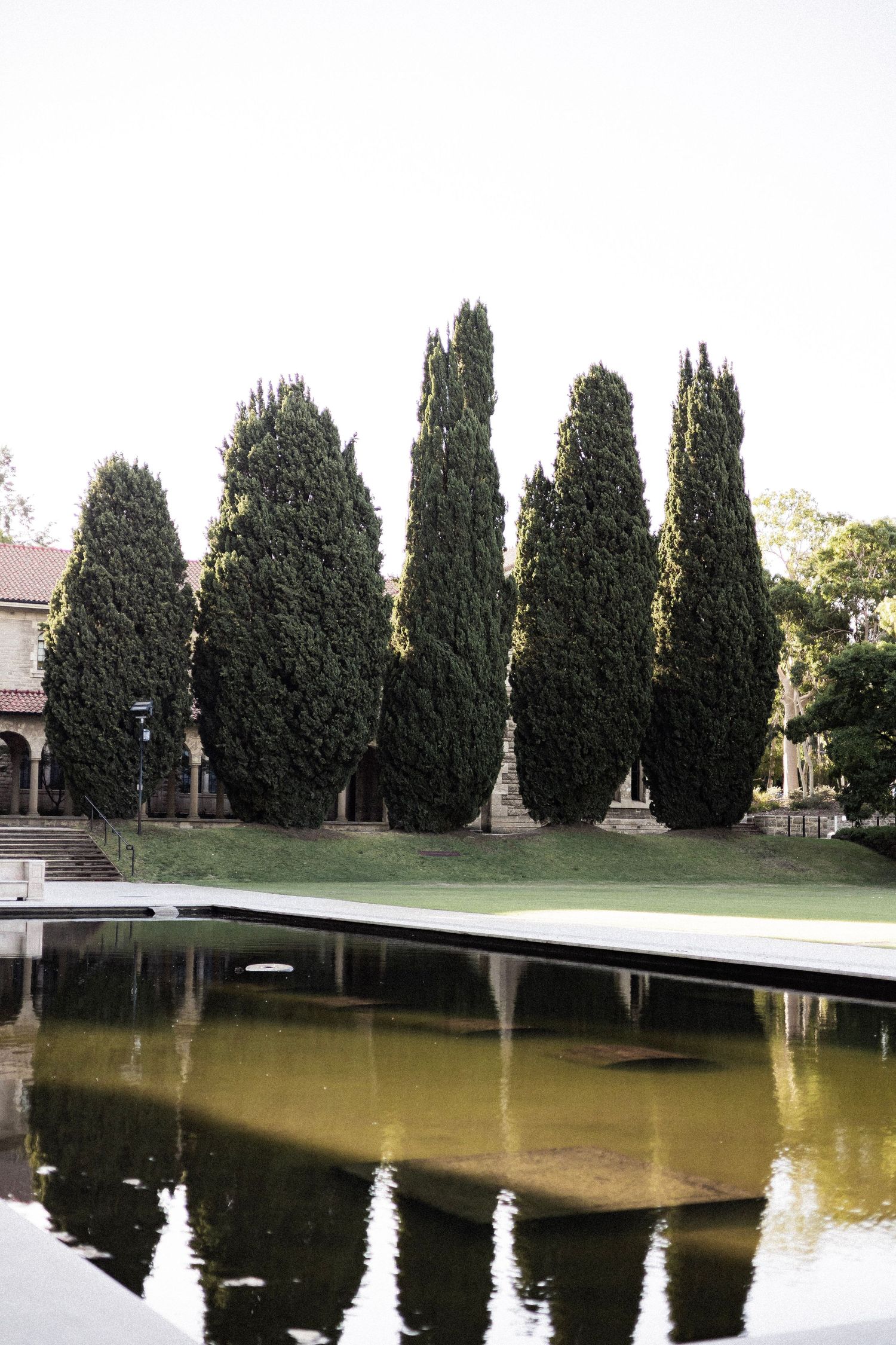 Tall cypress trees reflected in a still pond beside a historic building on a clear day.