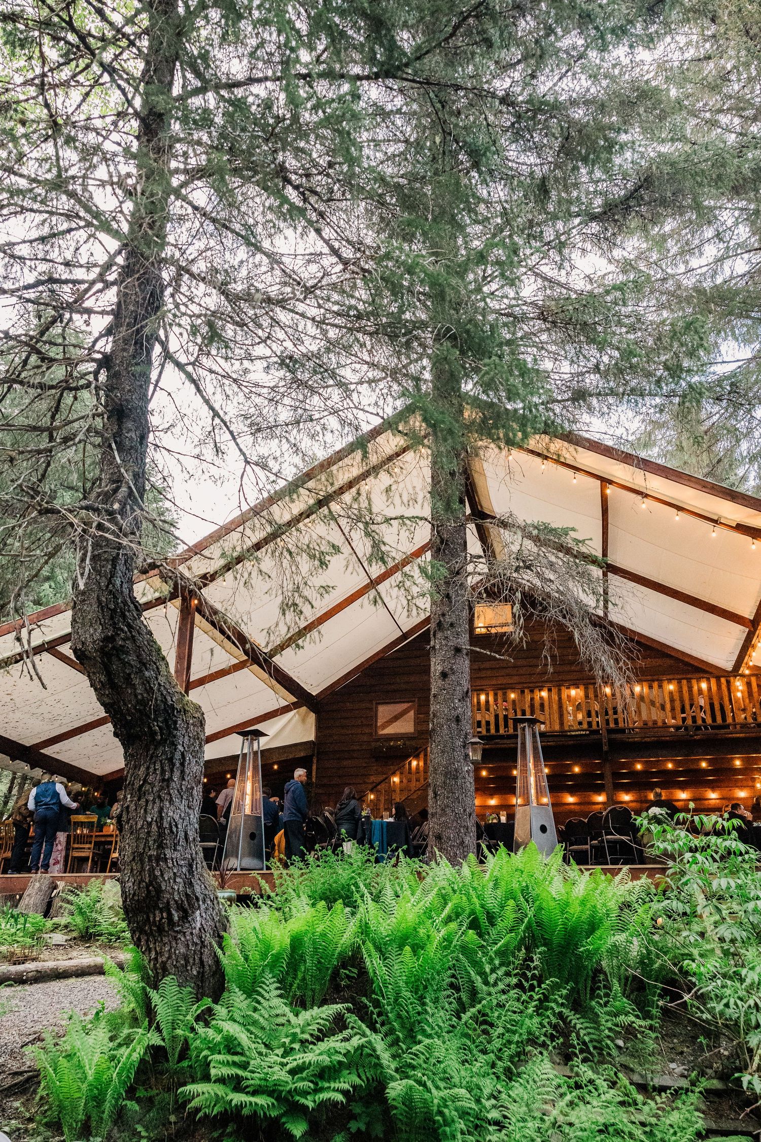 Beautiful wooden wedding venue nestled among tall evergreen trees with lush ferns in the foreground.