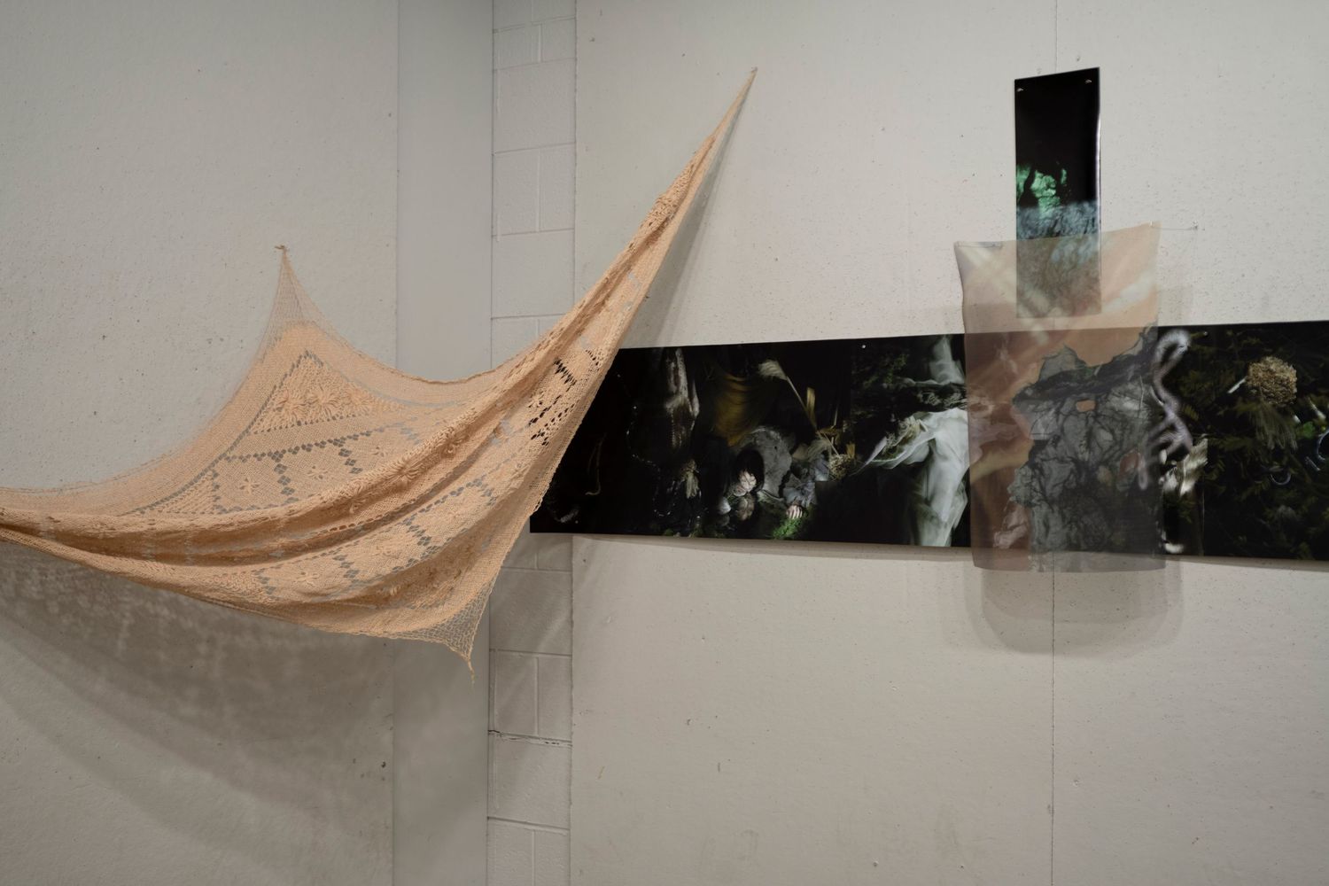 Lust of Unseen Light, Editorial Photography Installation