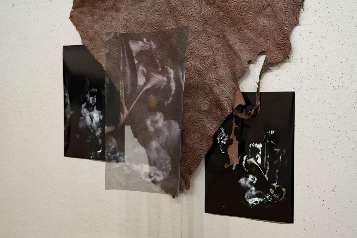Lust of Unseen Light, Editorial Photography Installation