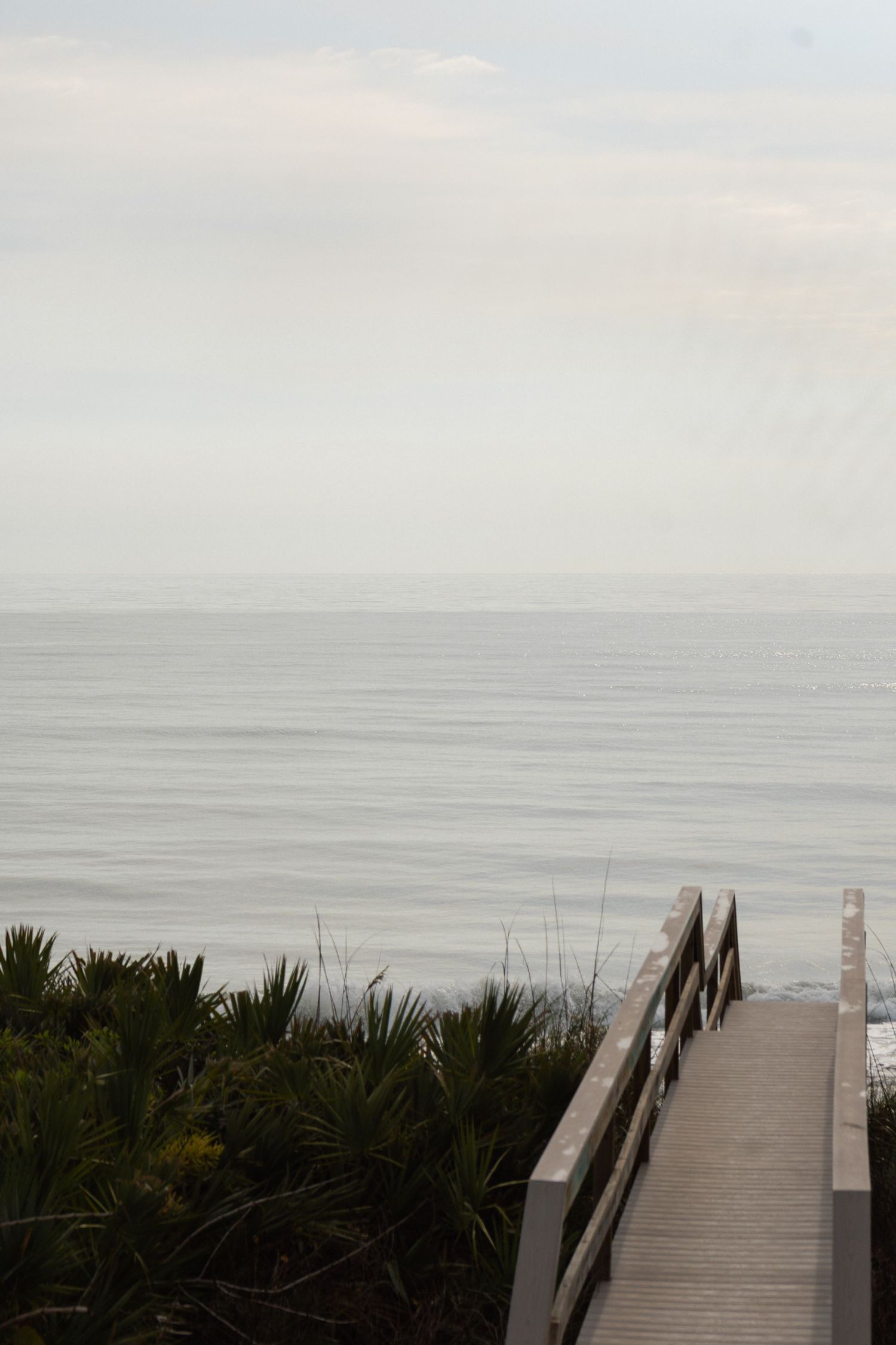 Peaceful coastal boardwalk leading to a calm ocean horizon under a soft overcast sky with palm vegetation.