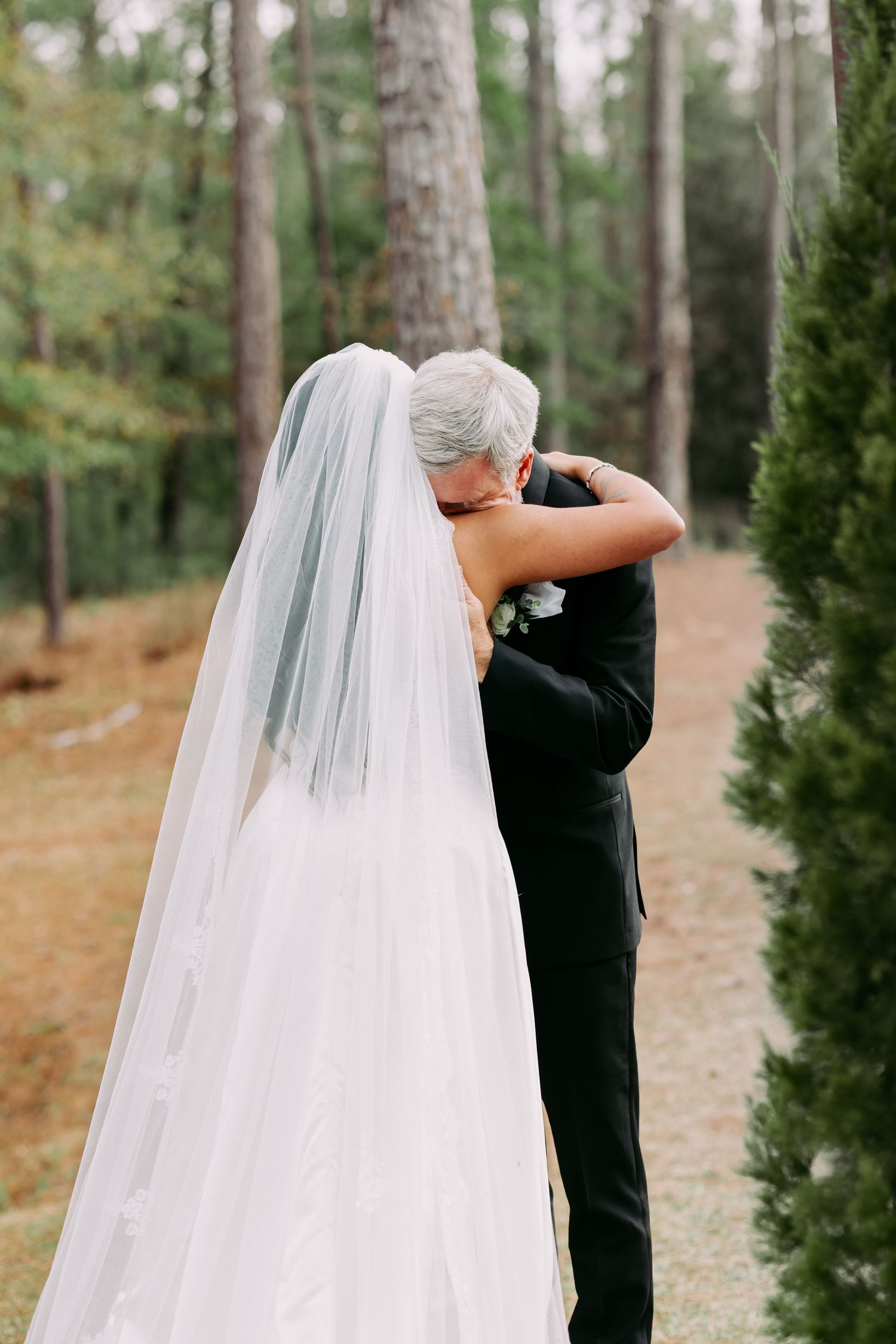 Bride and groom sharing an emotional embrace on a pine tree-lined path, bride's cathedral veil trailing behind.