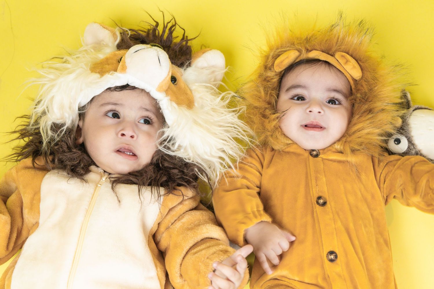 Two babies in lion costumes lying on a yellow background, holding hands.