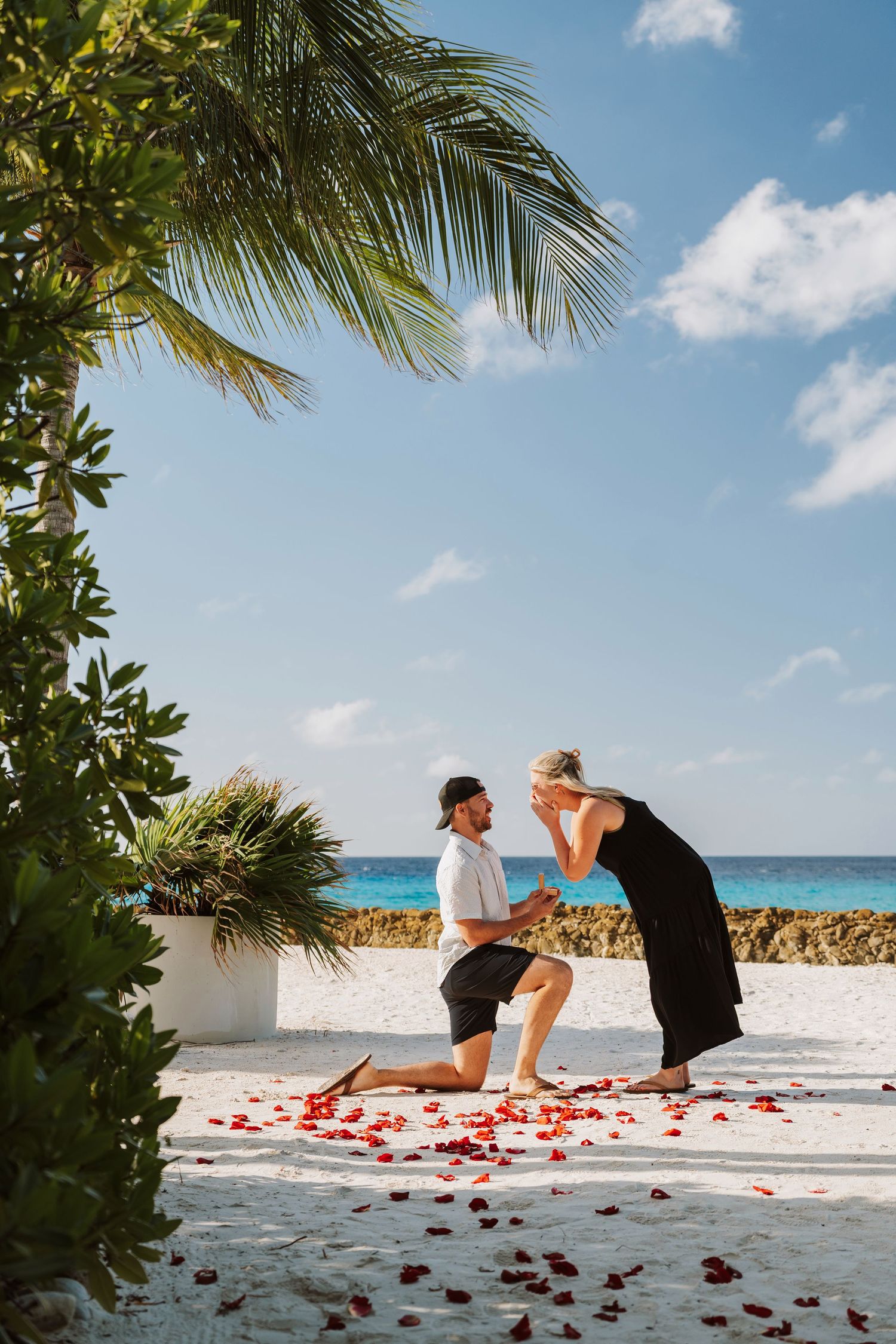 Man proposing on one knee to woman on tropical beach with rose petals and palm trees under blue sky.