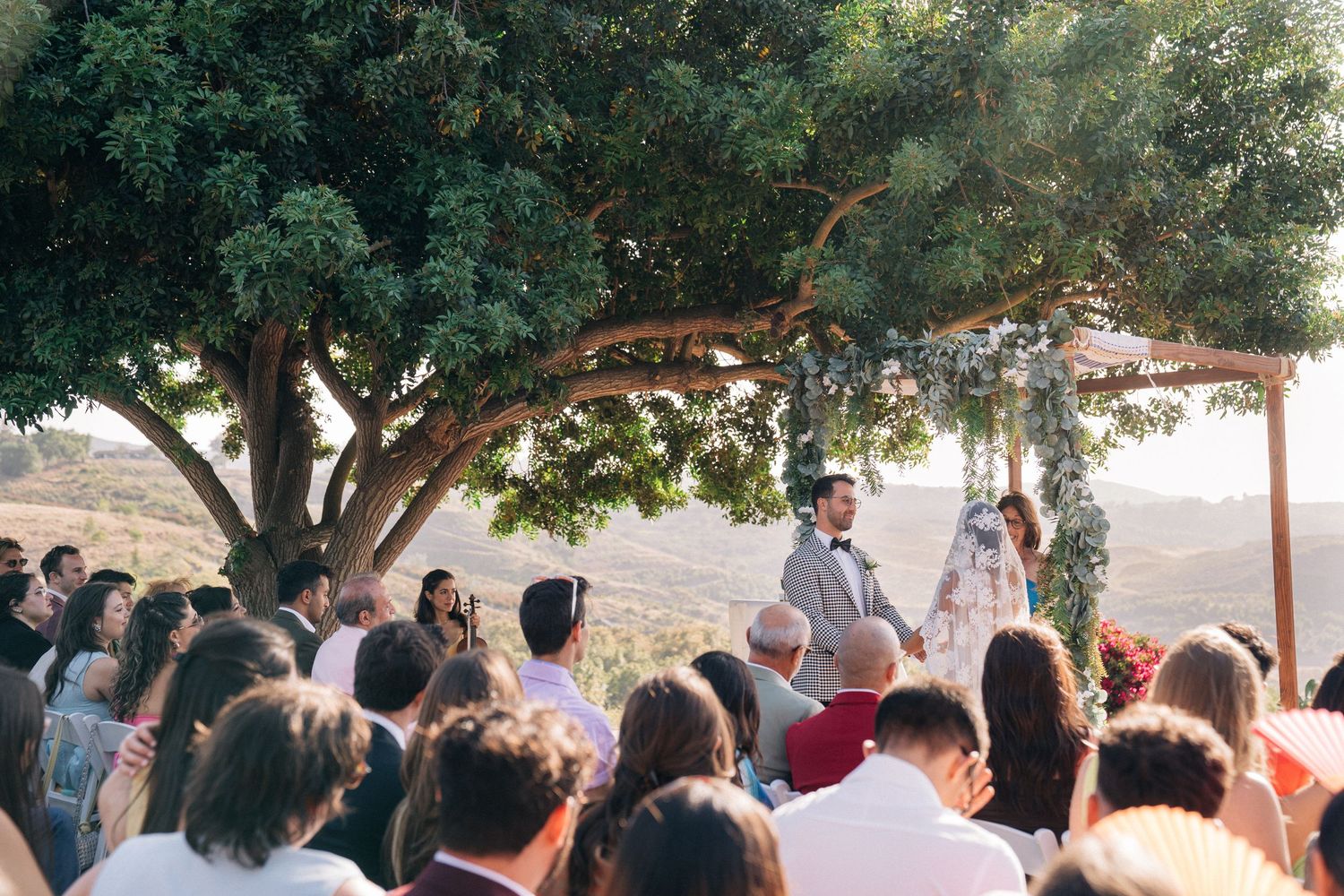 Outdoor wedding ceremony under large tree with gathered guests.