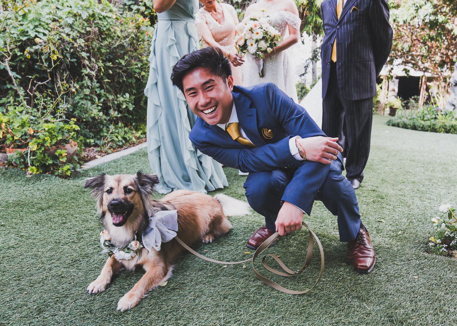 A series of playful photos showing someone interacting with a brown and white dog in a grassy outdoor setting.