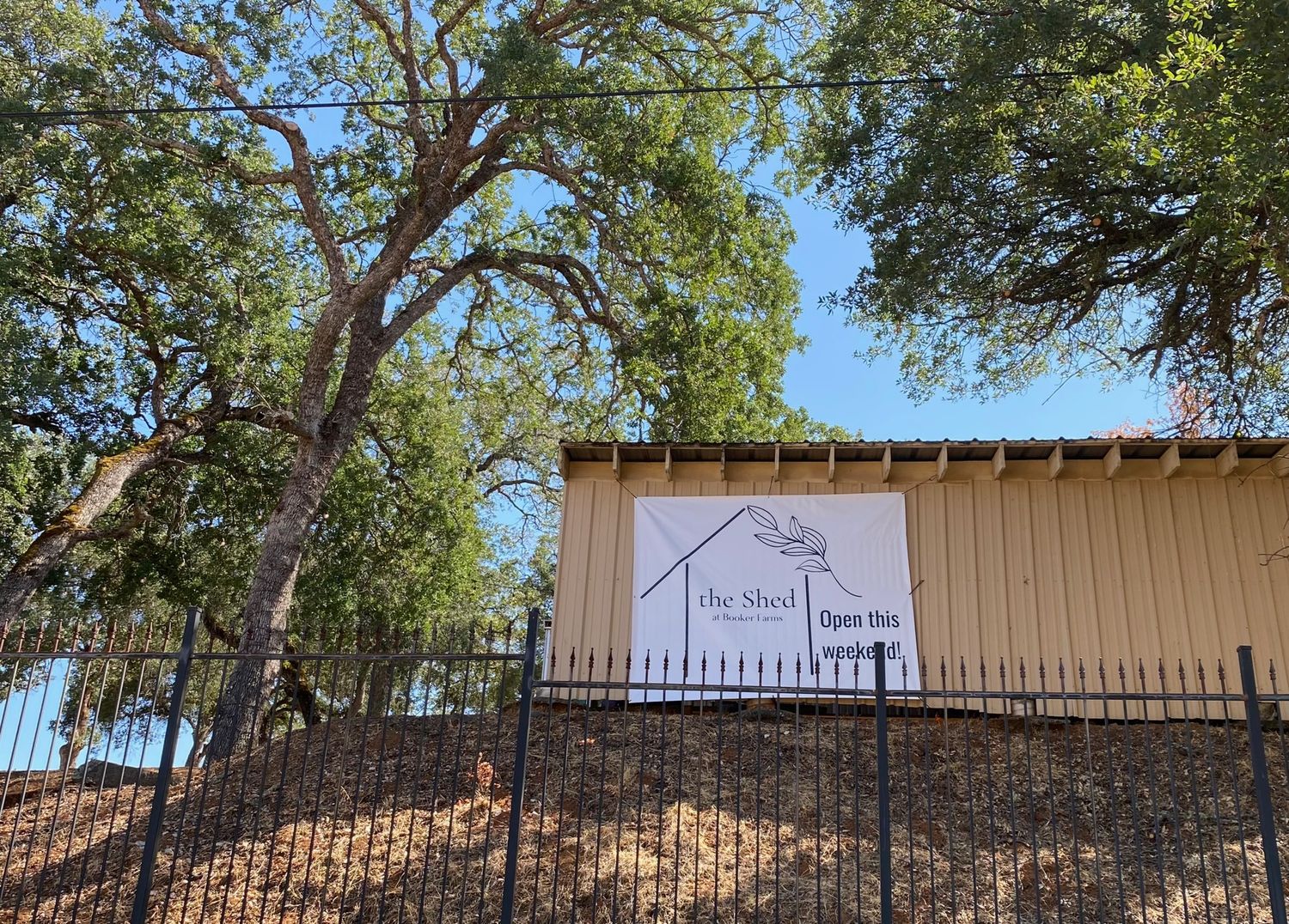 Simple barn structure with line drawing logo sign mounted on beige exterior wall under oak trees.